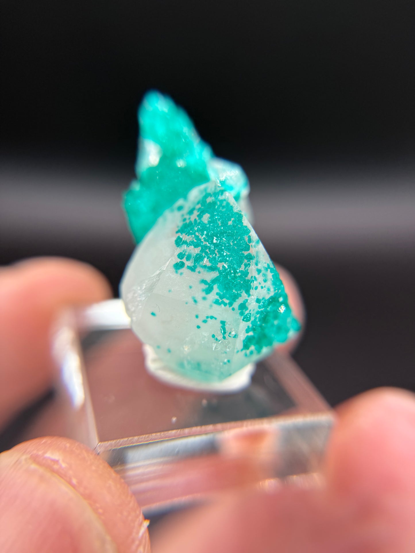 Dioptase and Quartz, Kunene Region, Namibia