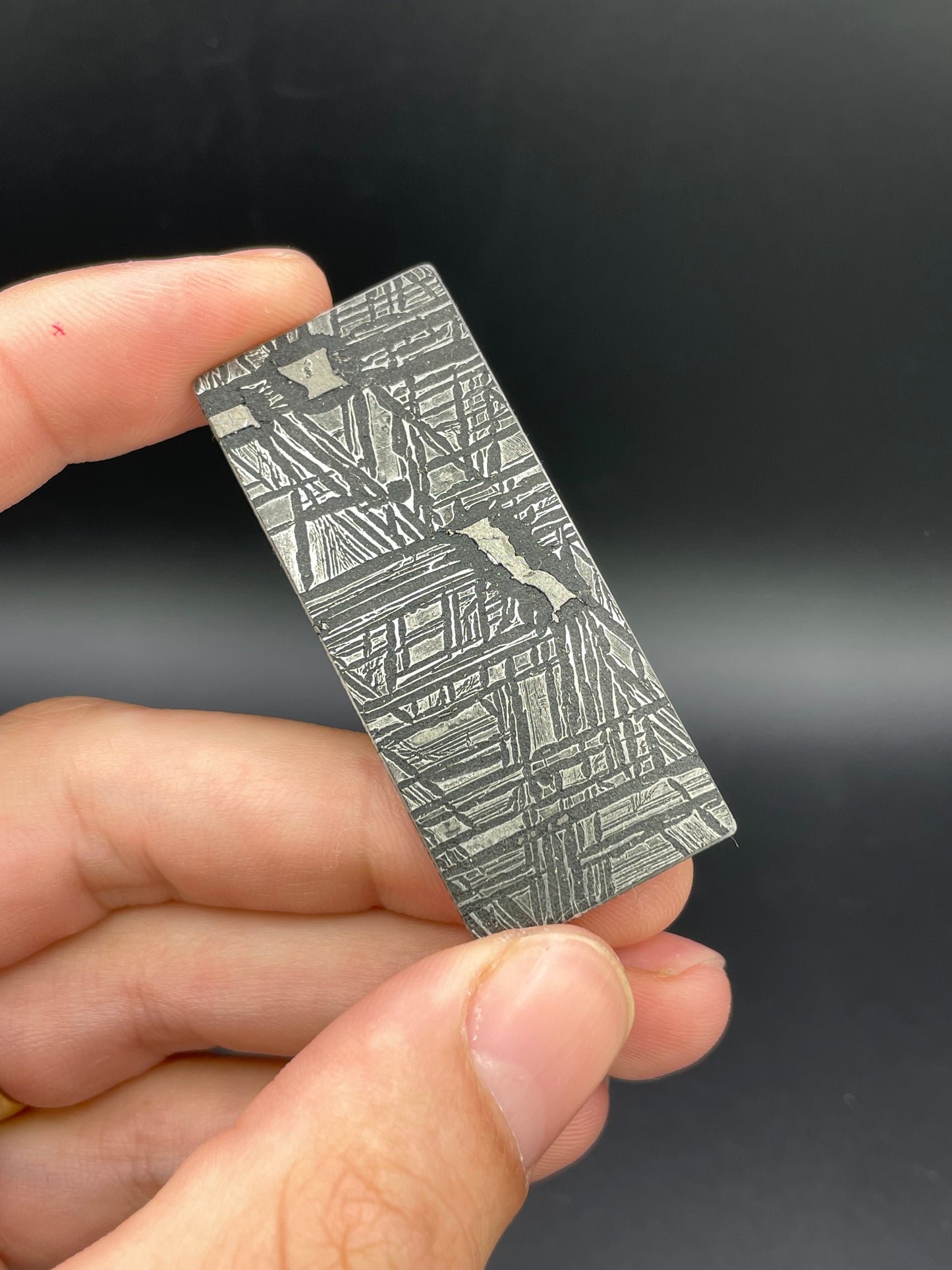 Aletai Meteorite Slice, China