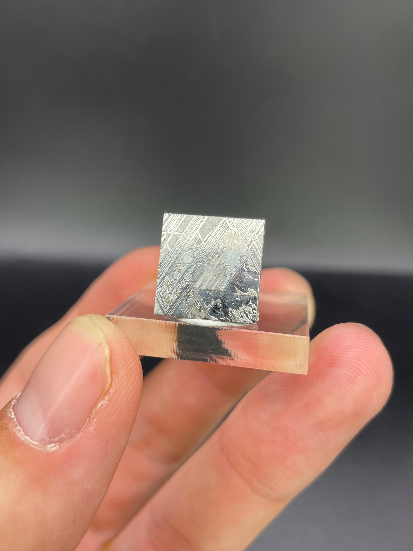 Muonionalusta Meteorite Slice from Norrbotten, Sweden