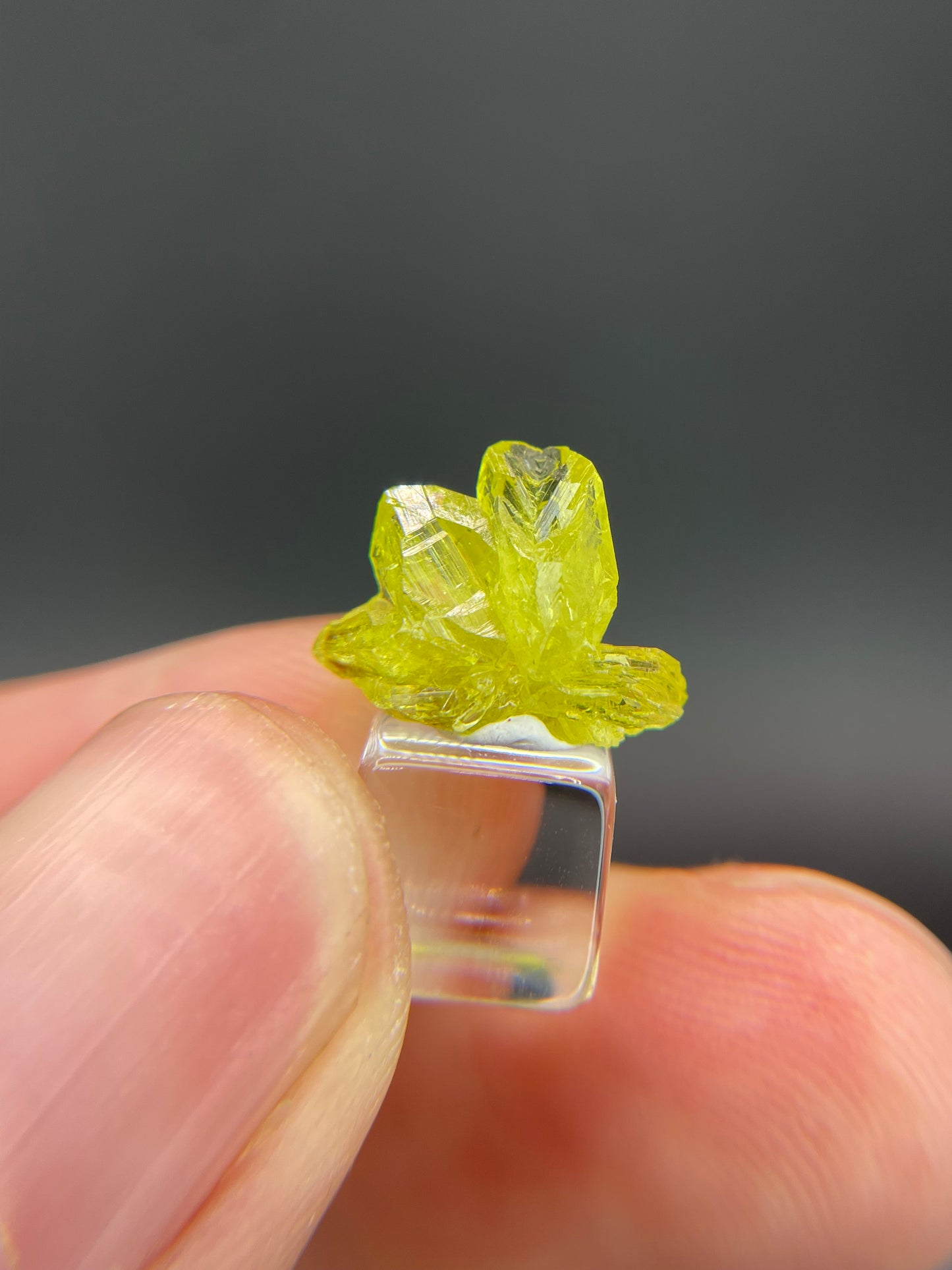 Chrysoberyl, Lac Alaotra, Ambatondrazaka, Madagascar