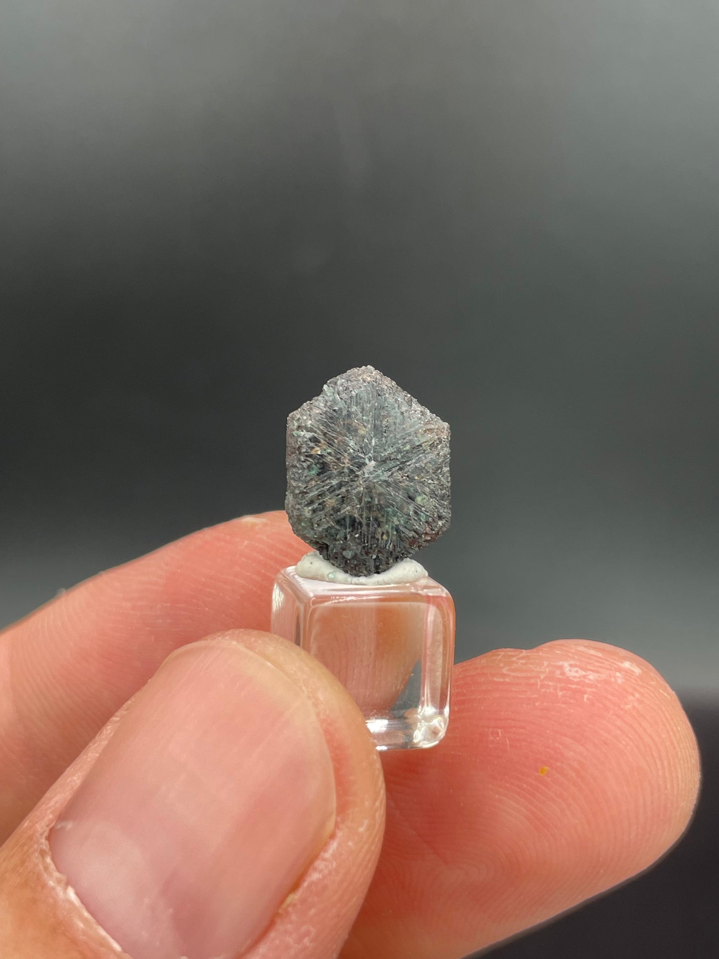 Alexandrite, Novello Claim, Zimbabwe
