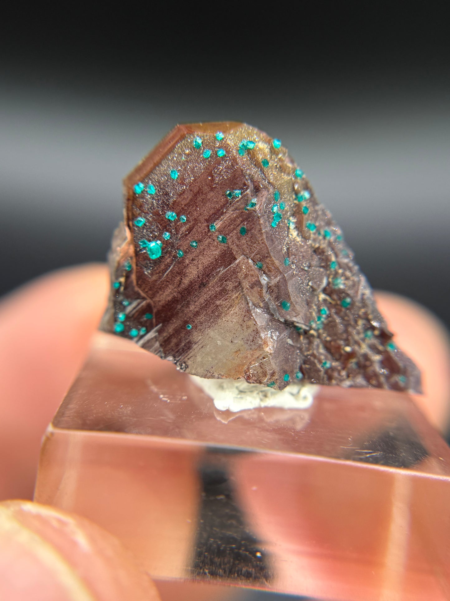Dioptaze, Hematite and Quartz, Kunene Region, Namibia