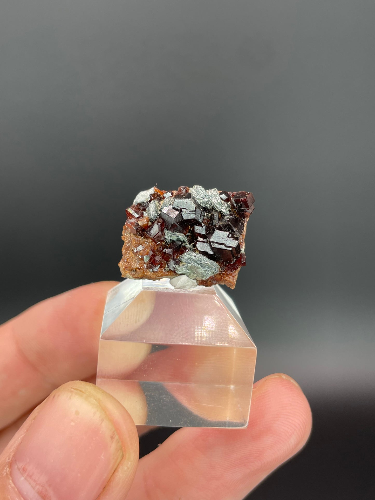 Hessonite garnet, Clinochlore, Valle d’Aosta, Italy