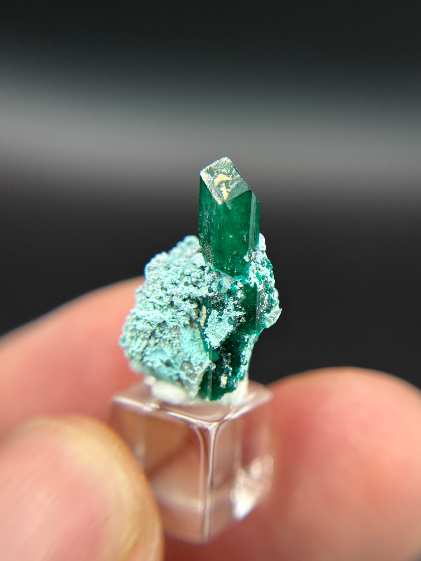Dioptase and Shattuckite, Kunene Region, Namibia