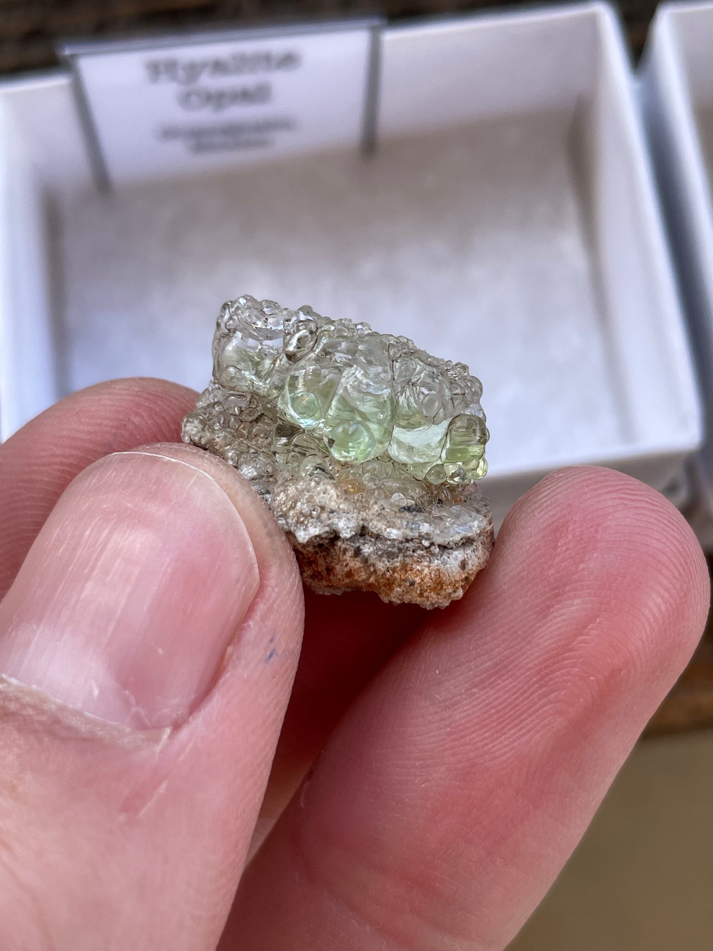 Hyalite Opal, Guanajuato Mexico