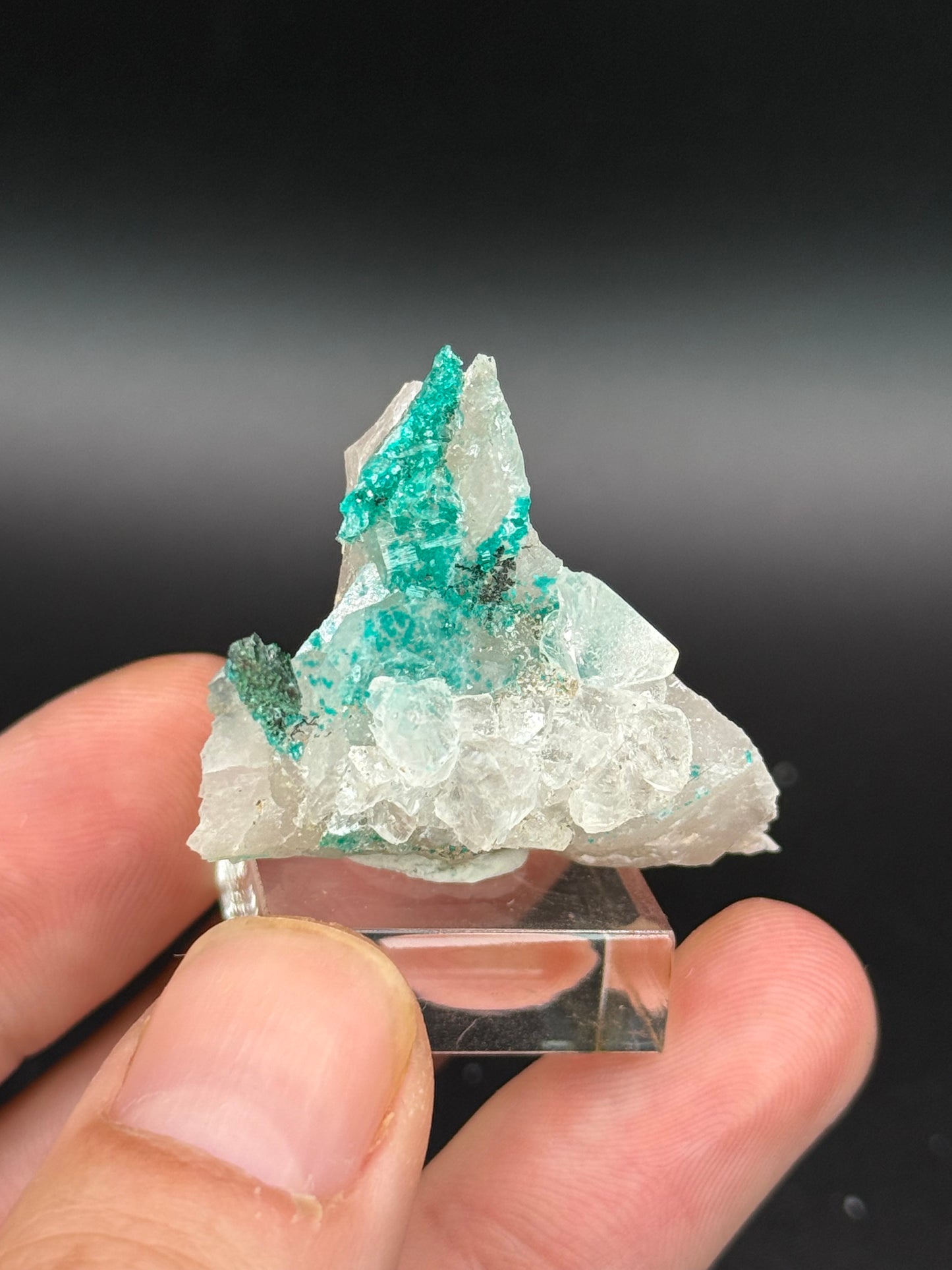 Dioptase and Quartz, Kunene Region, Namibia
