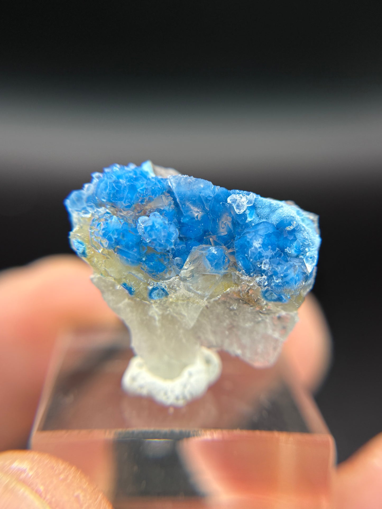 Shattuckite in Quartz, Kunene Region, Namibia