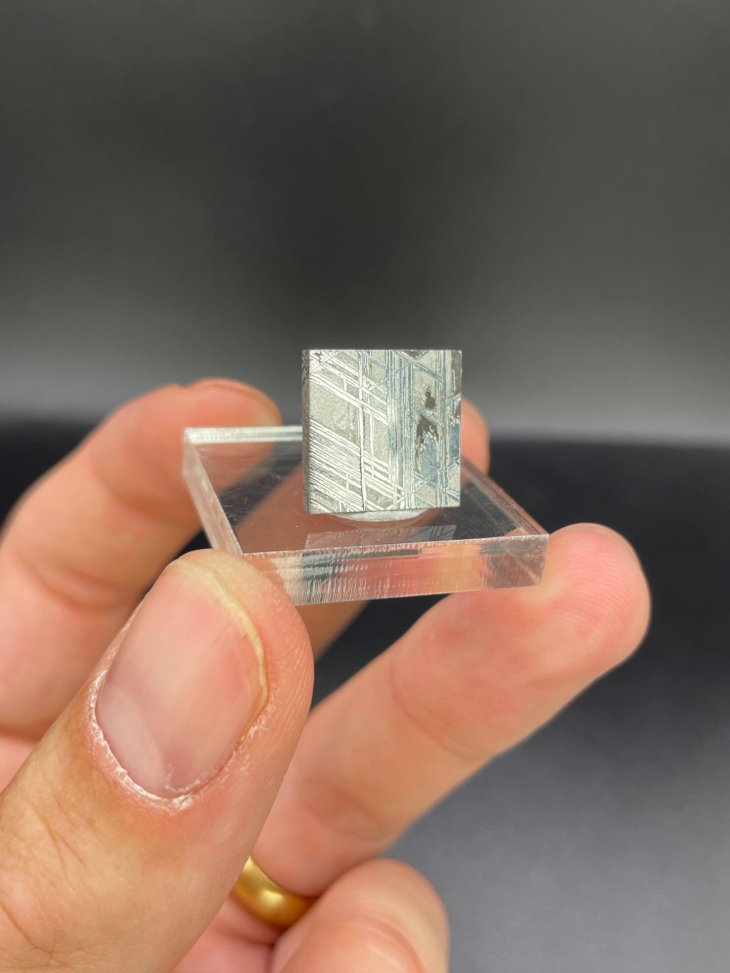 Muonionalusta Meteorite Slice from Norrbotten, Sweden