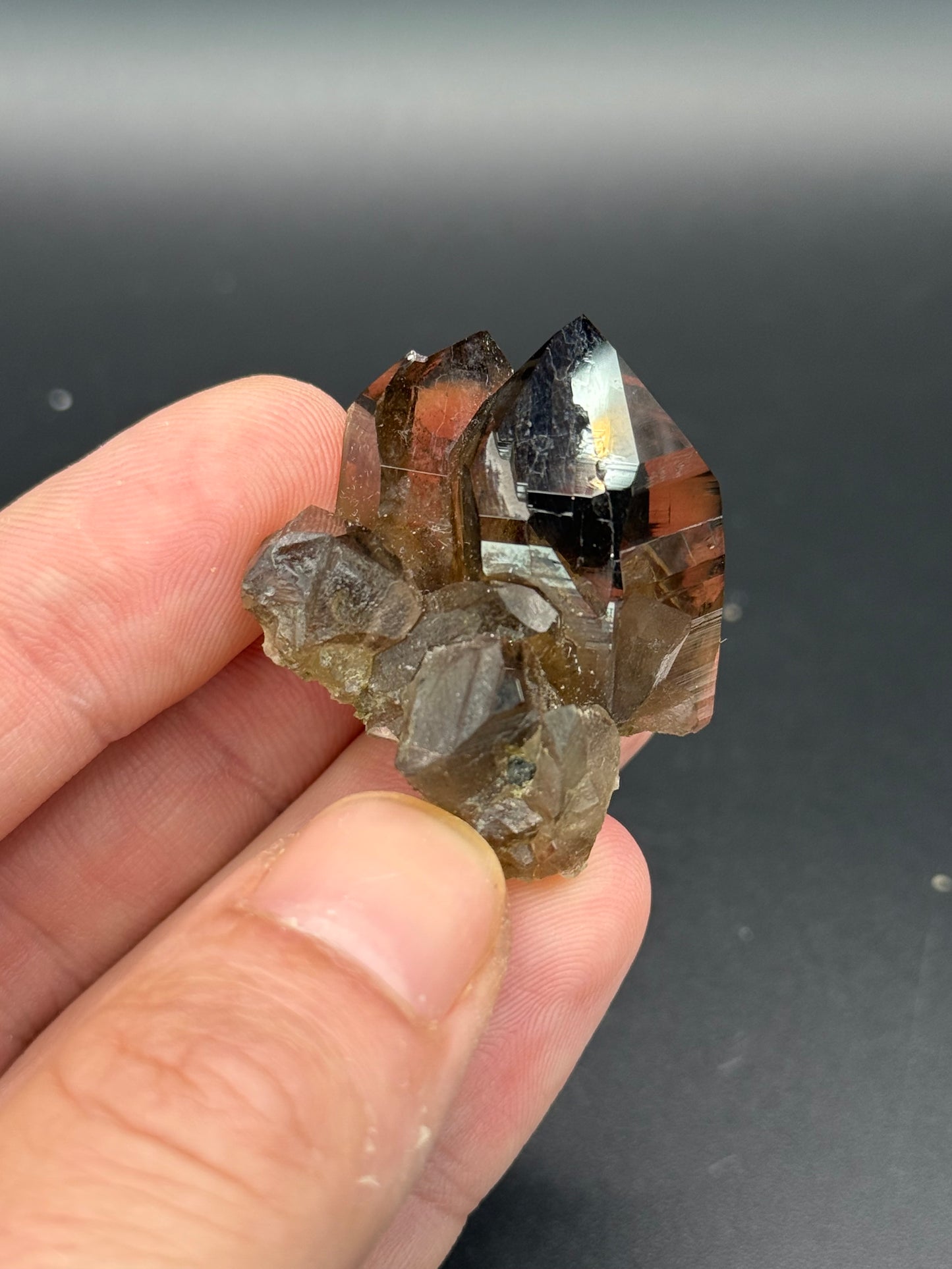 Smoky Quartz, Val Giuv, Tujetsch, Surselva Region, Grisons, Switzerland