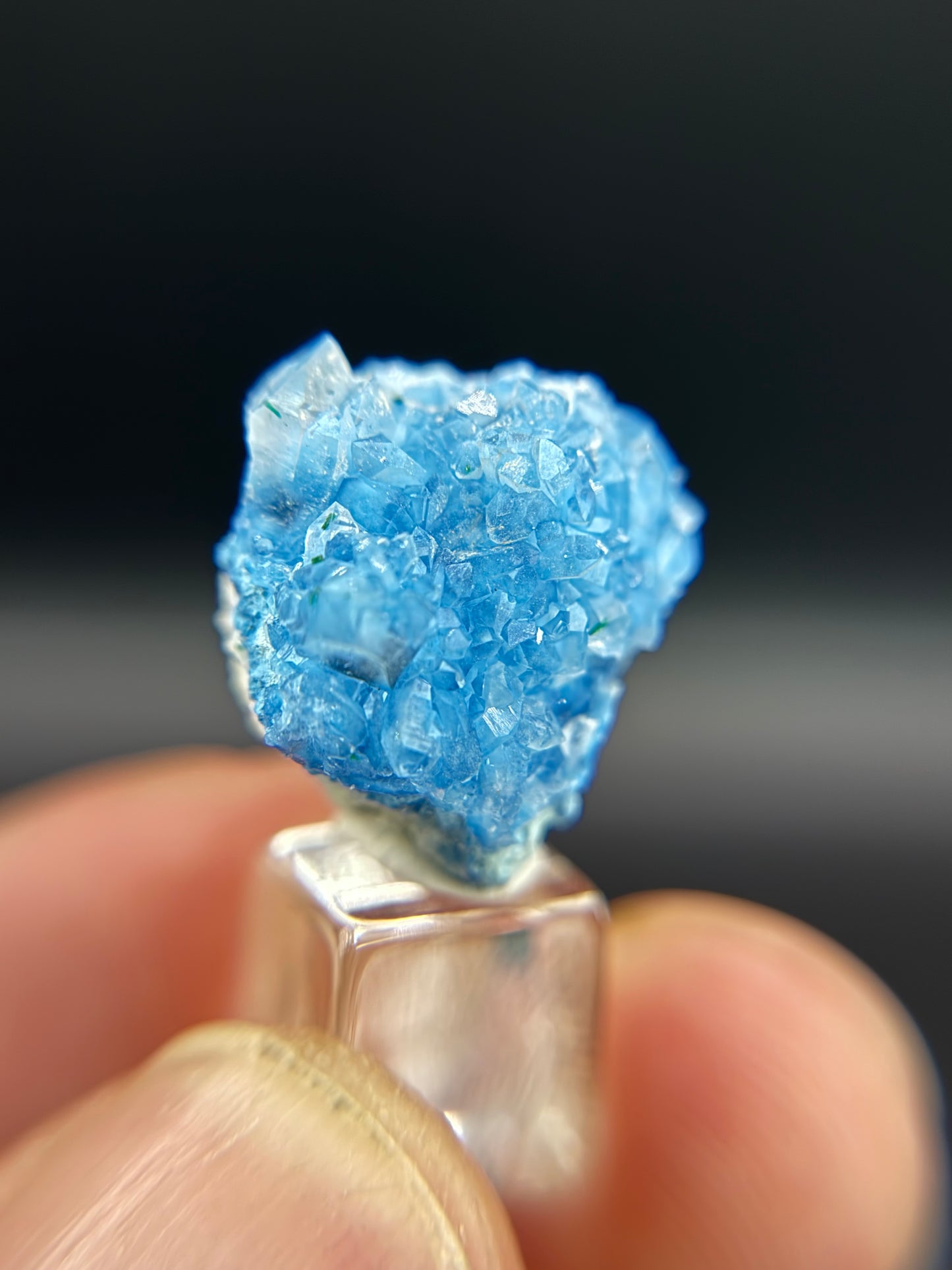 Shattuckite in Quartz, Kunene Region, Namibia
