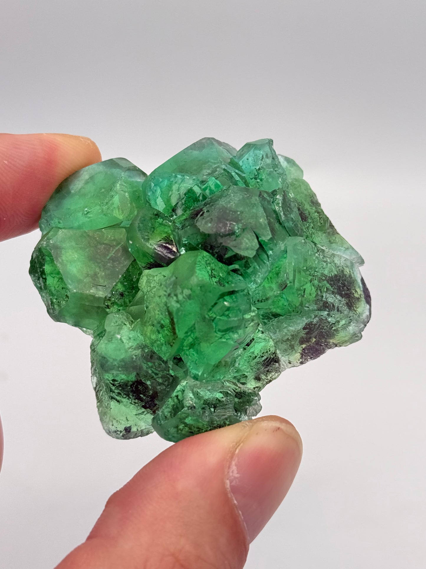 Fluorite, Milpo mine, Atacocha, Pasco Prov., Peru