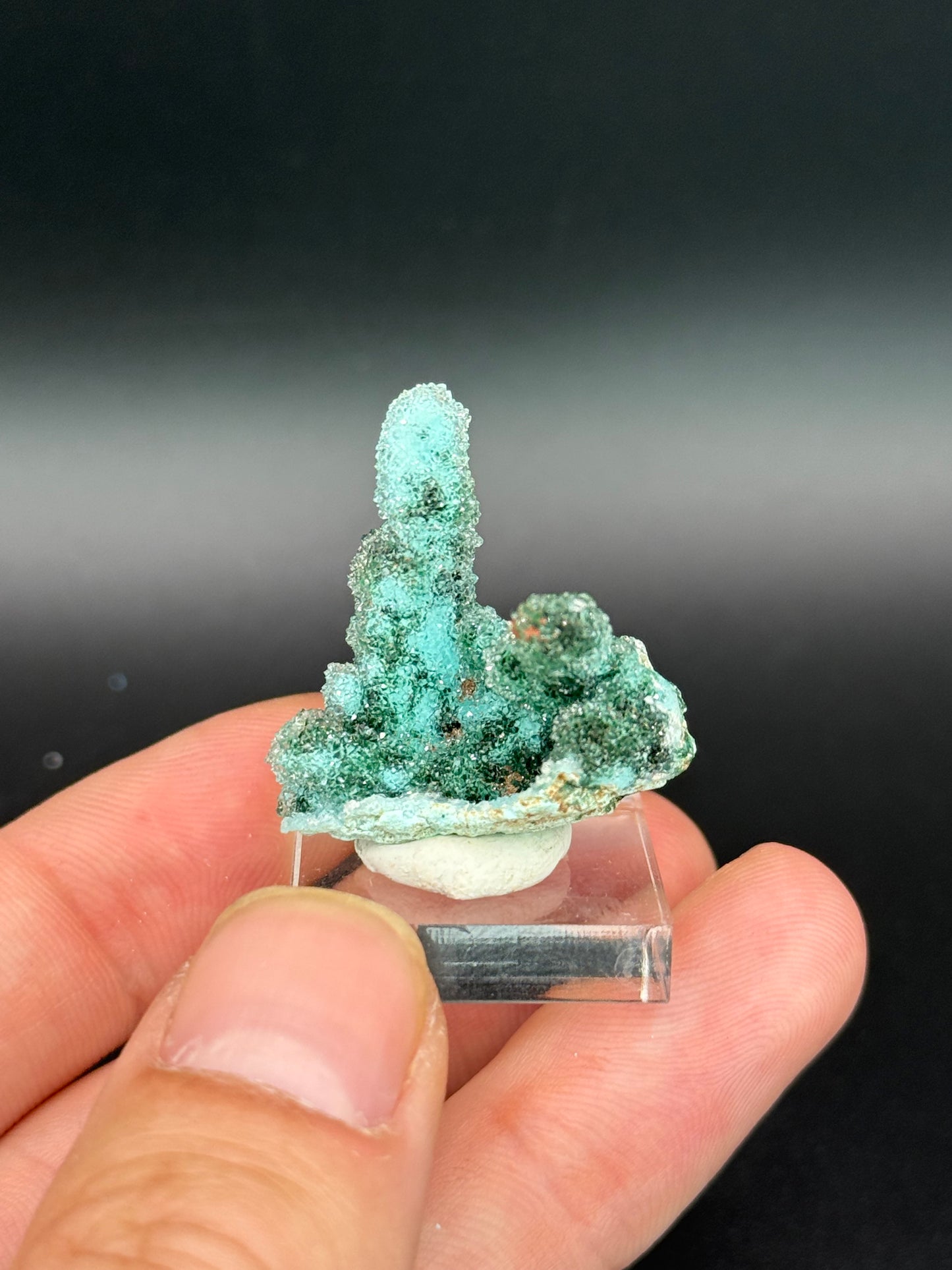 Quartz and Malachite on Chrysocolla Pseudomorph after Baryte, Lupoto Mine, Kakumba, Kipushi Territory, Haut-Katanga, DR Congo