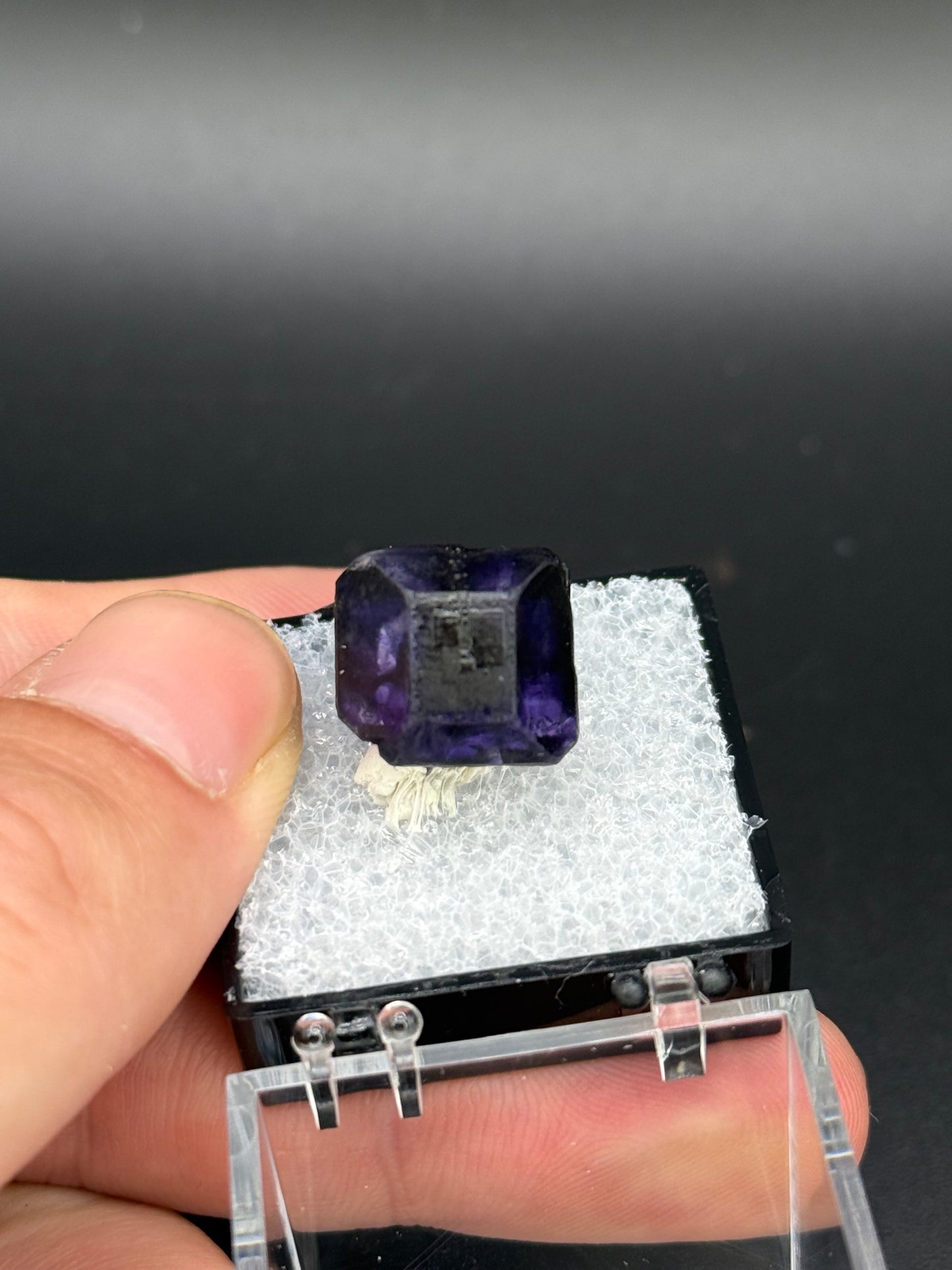 Fluorite (color change), Mandinga Mine, Laguna Brava, Loboy District, Unión Department, Córdoba Province, Argentina.