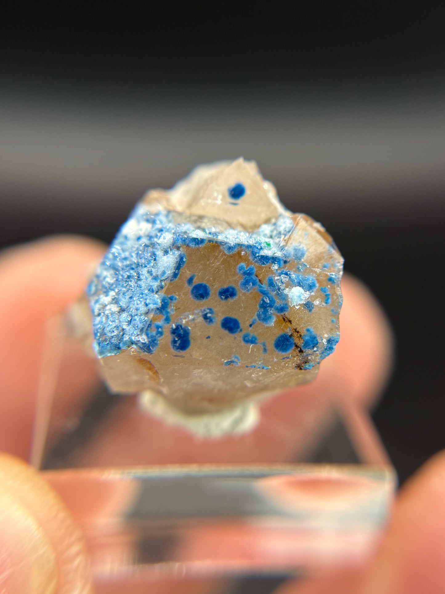 Shattuckite in Quartz, Kunene Region, Namibia