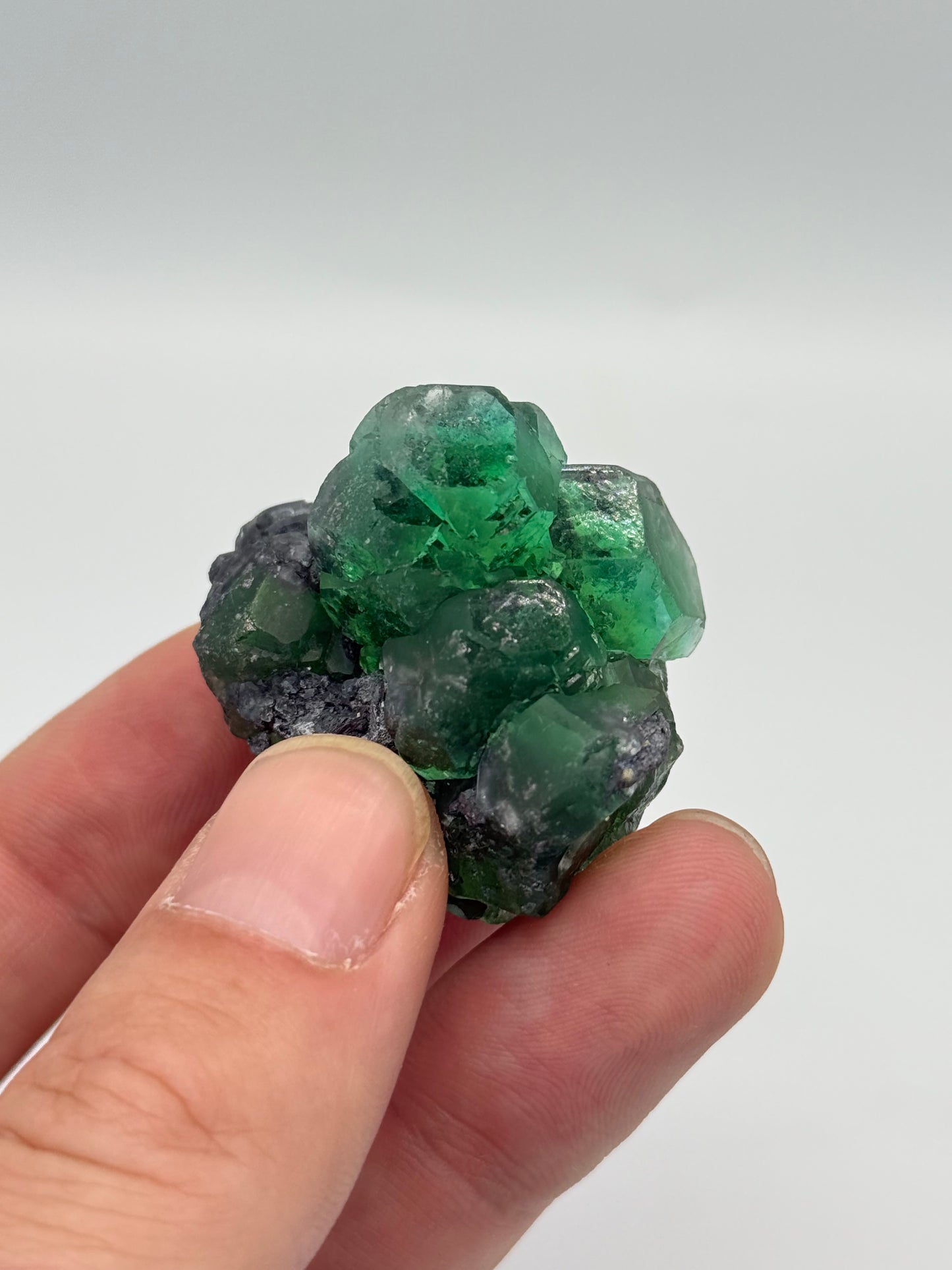 Fluorite, Milpo mine, Atacocha, Pasco Prov., Peru