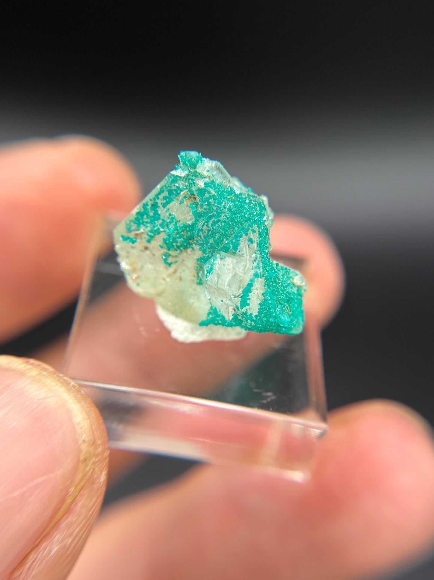 Dioptase and Quartz, Kunene Region, Namibia