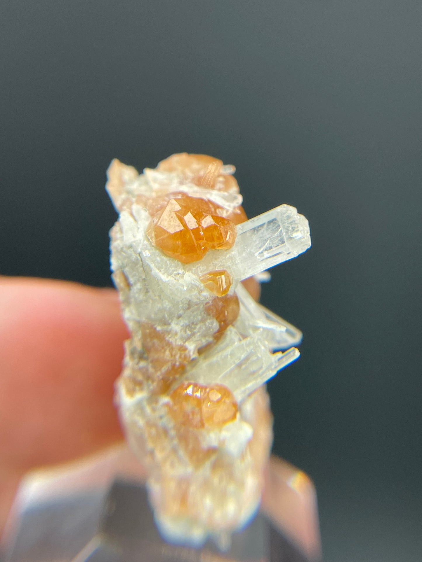 Hessonite garnet, Diopside, Valle d'Aosta, Italy