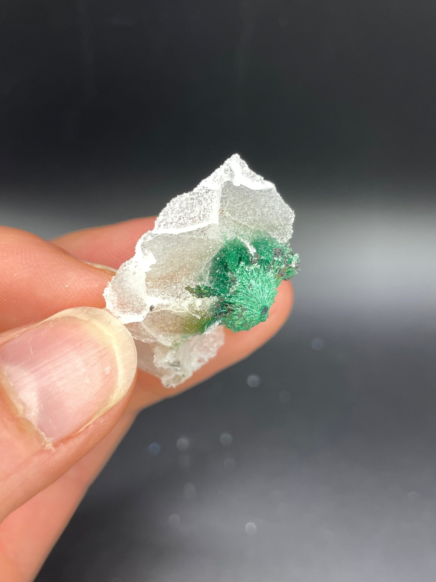 Malachite in Quartz, Kunene Region, Namibia