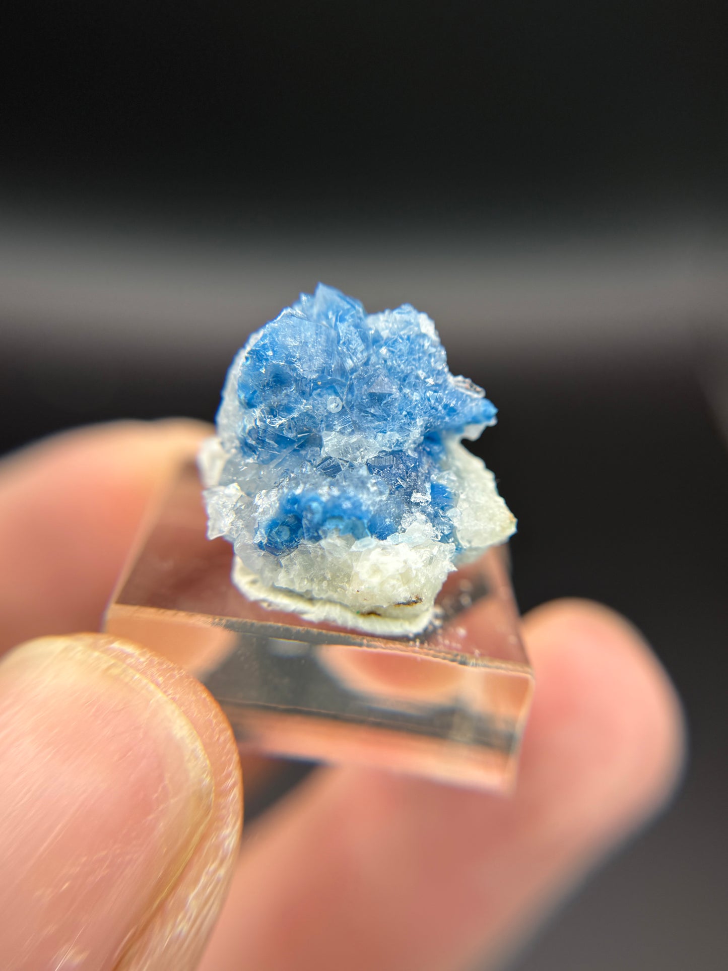 Shattuckite in Quartz, Kunene Region, Namibia
