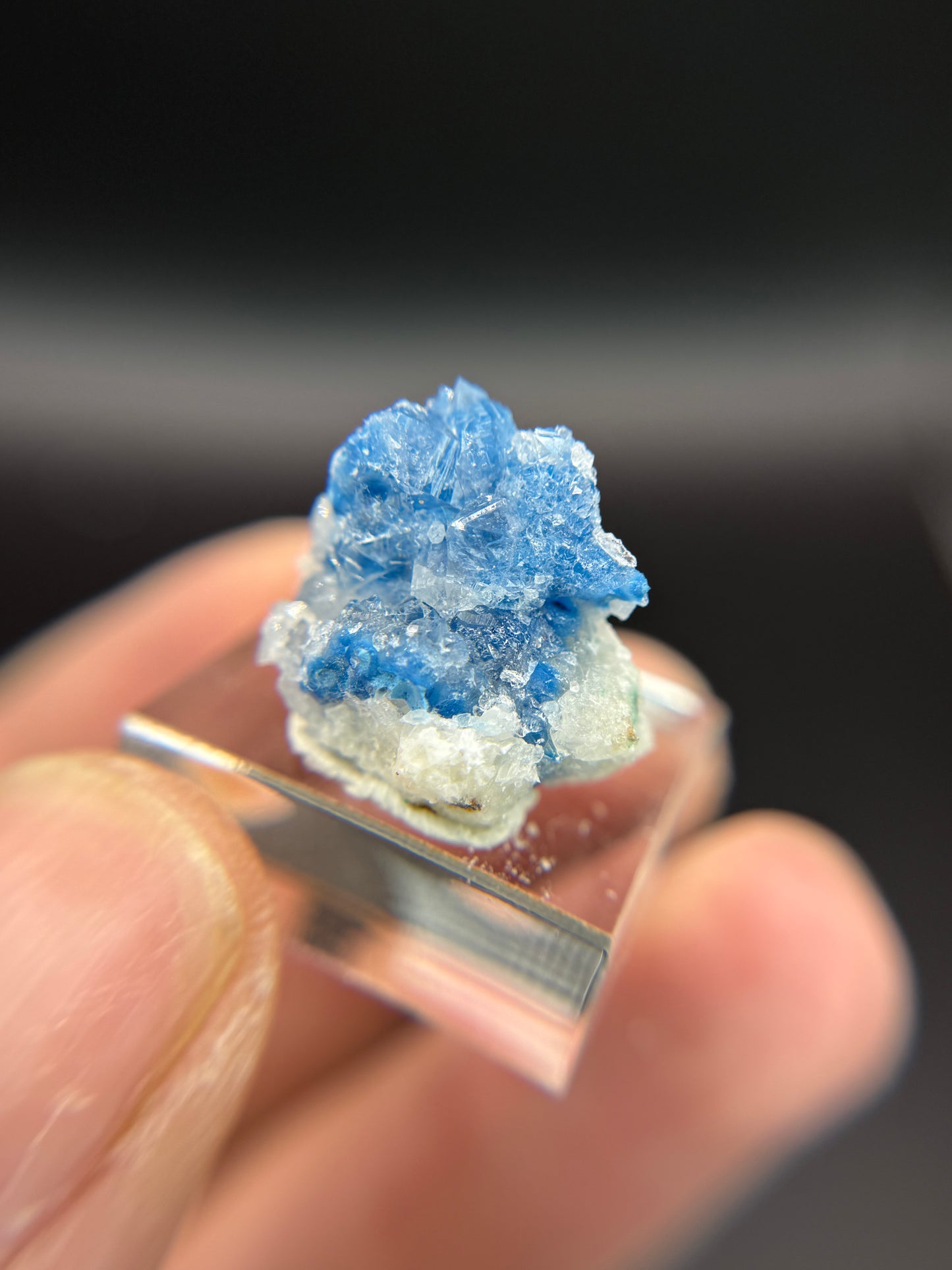 Shattuckite in Quartz, Kunene Region, Namibia