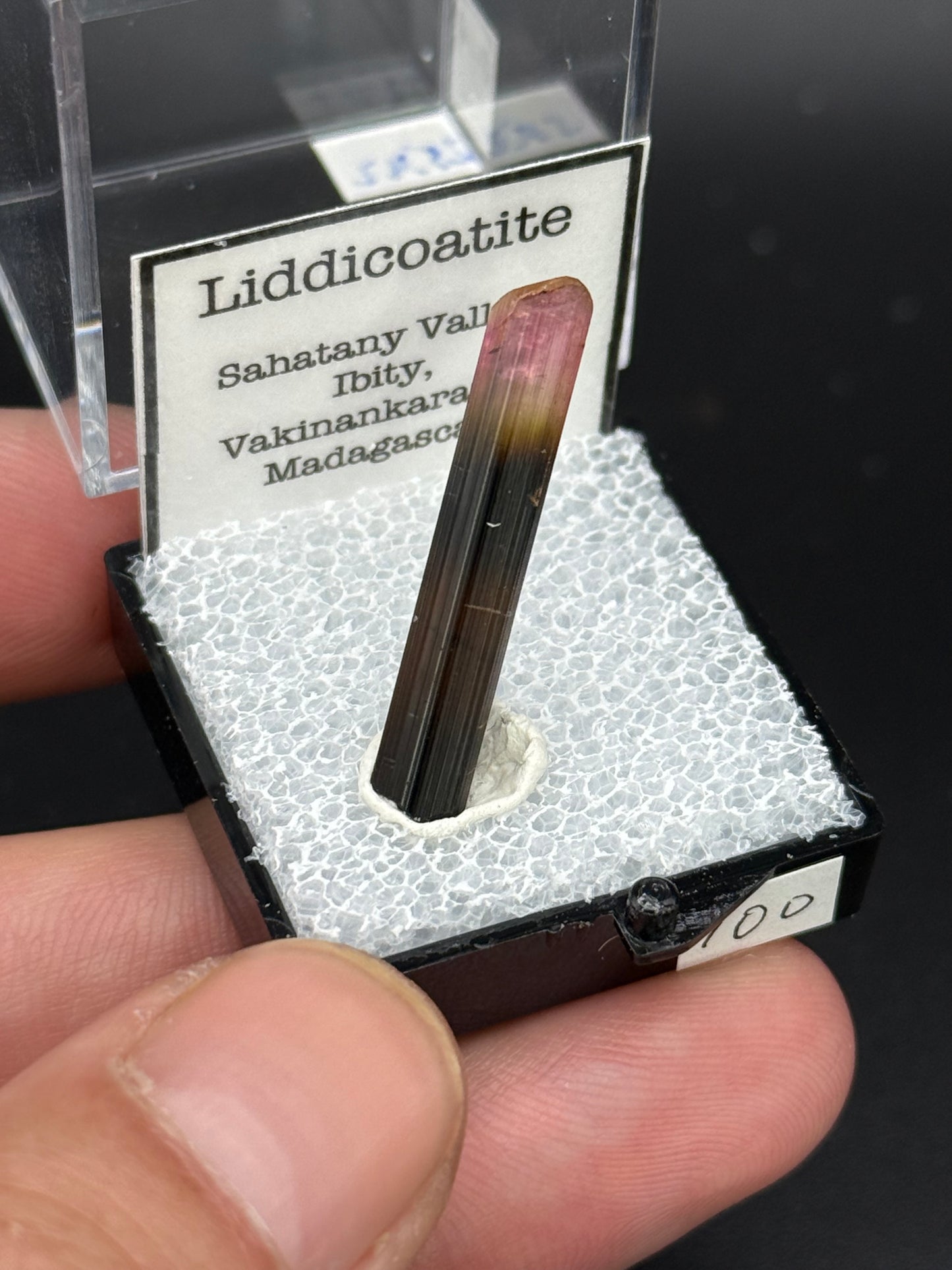 Liddicoatite, Sahatany Valley, Ibity, Vakinankaratra, Madagascar