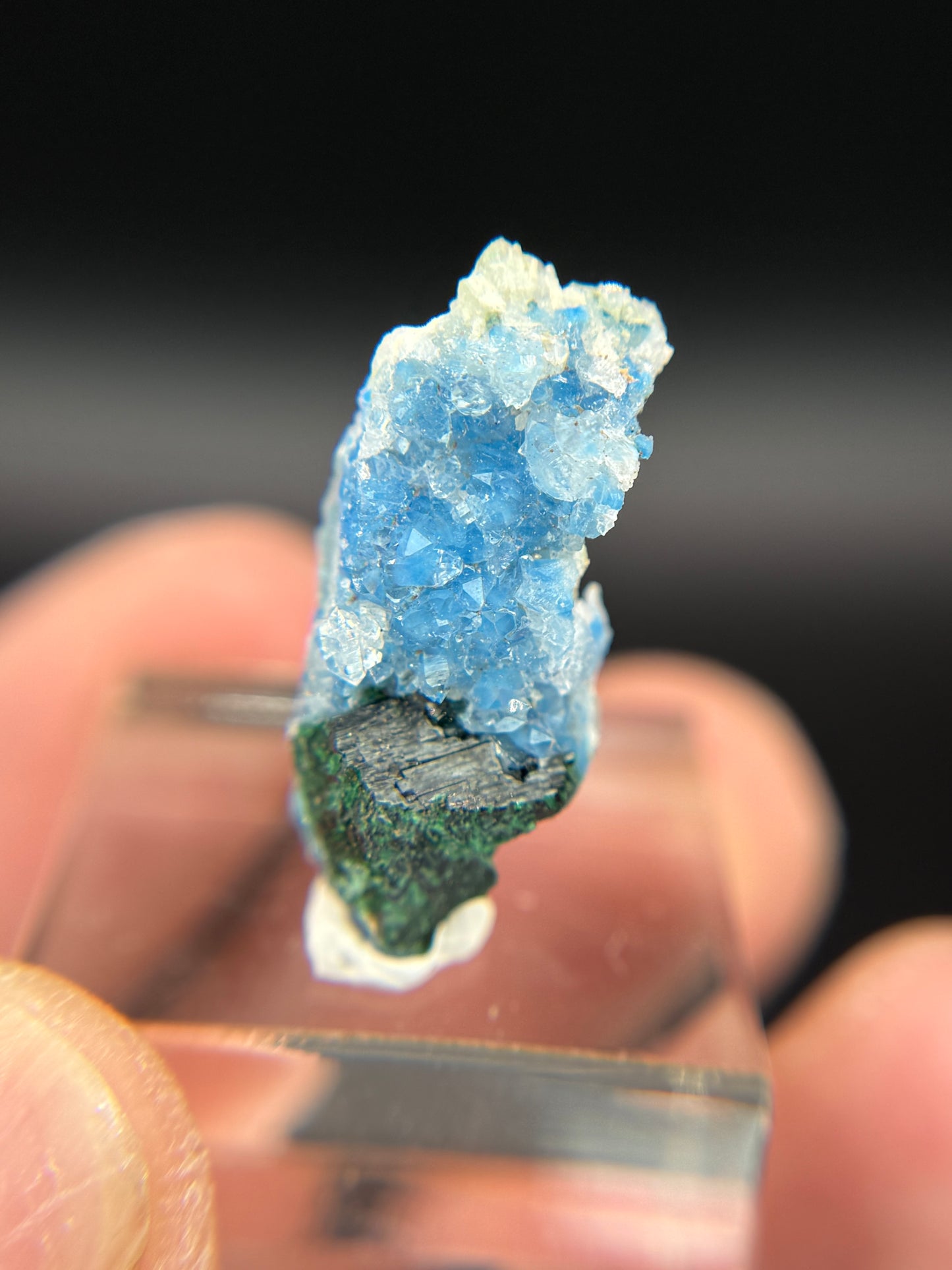 Shattuckite, Malachite and Quartz, Kunene Region, Namibia