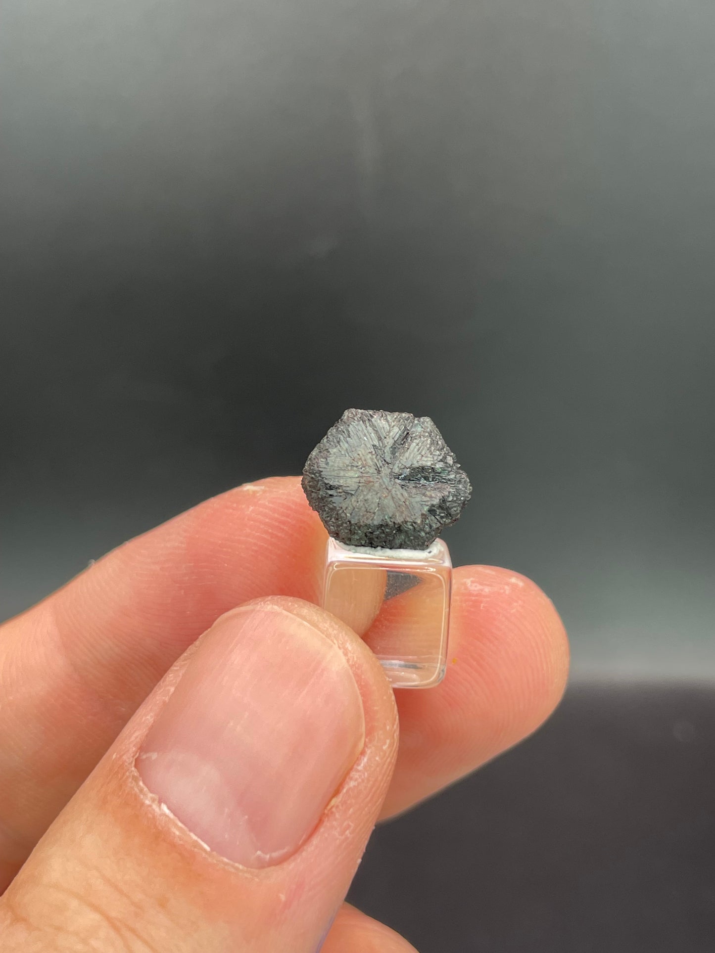 Alexandrite, Novello Claim, Zimbabwe
