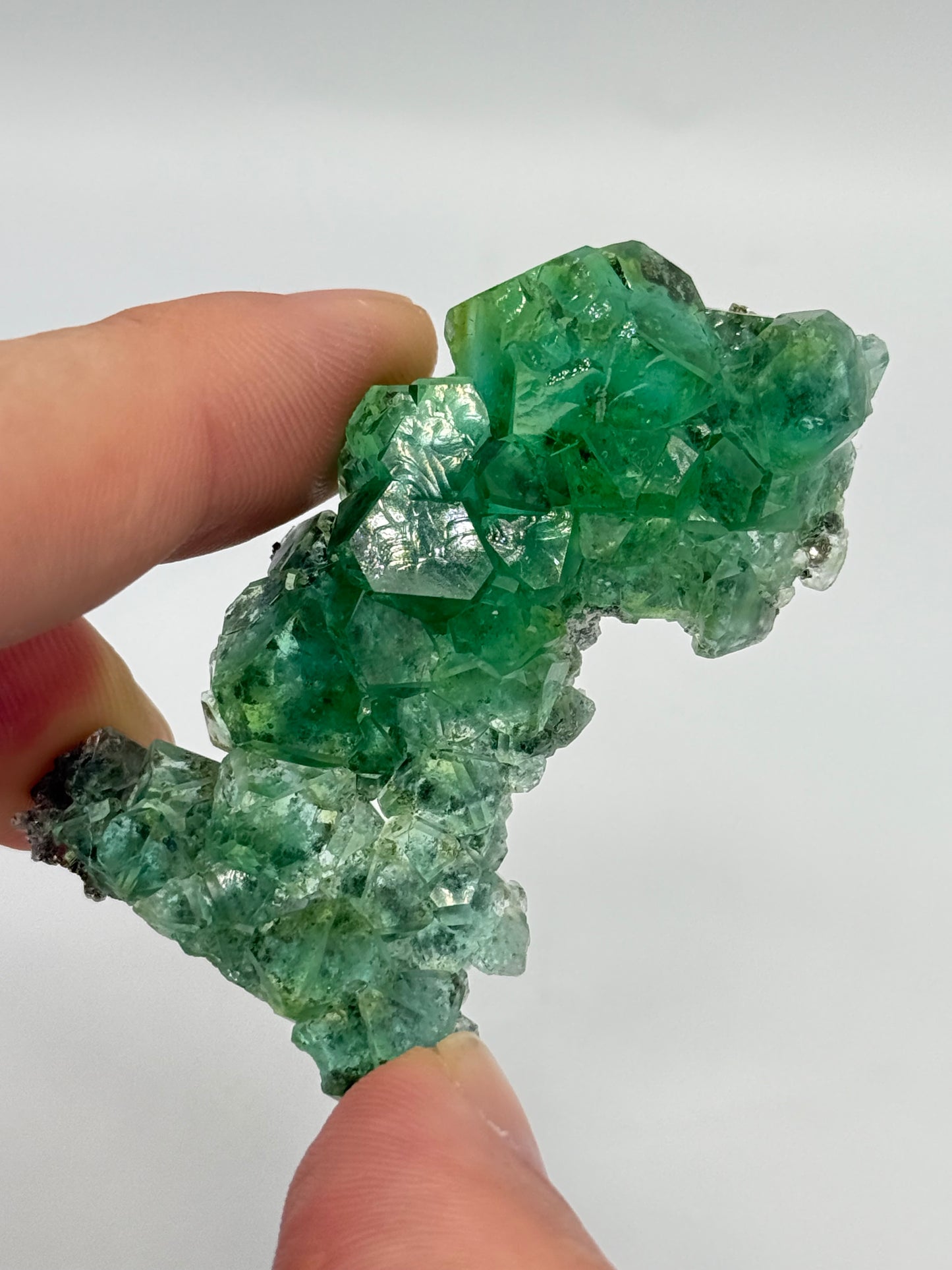 Fluorite, Milpo mine, Atacocha, Pasco Prov., Peru