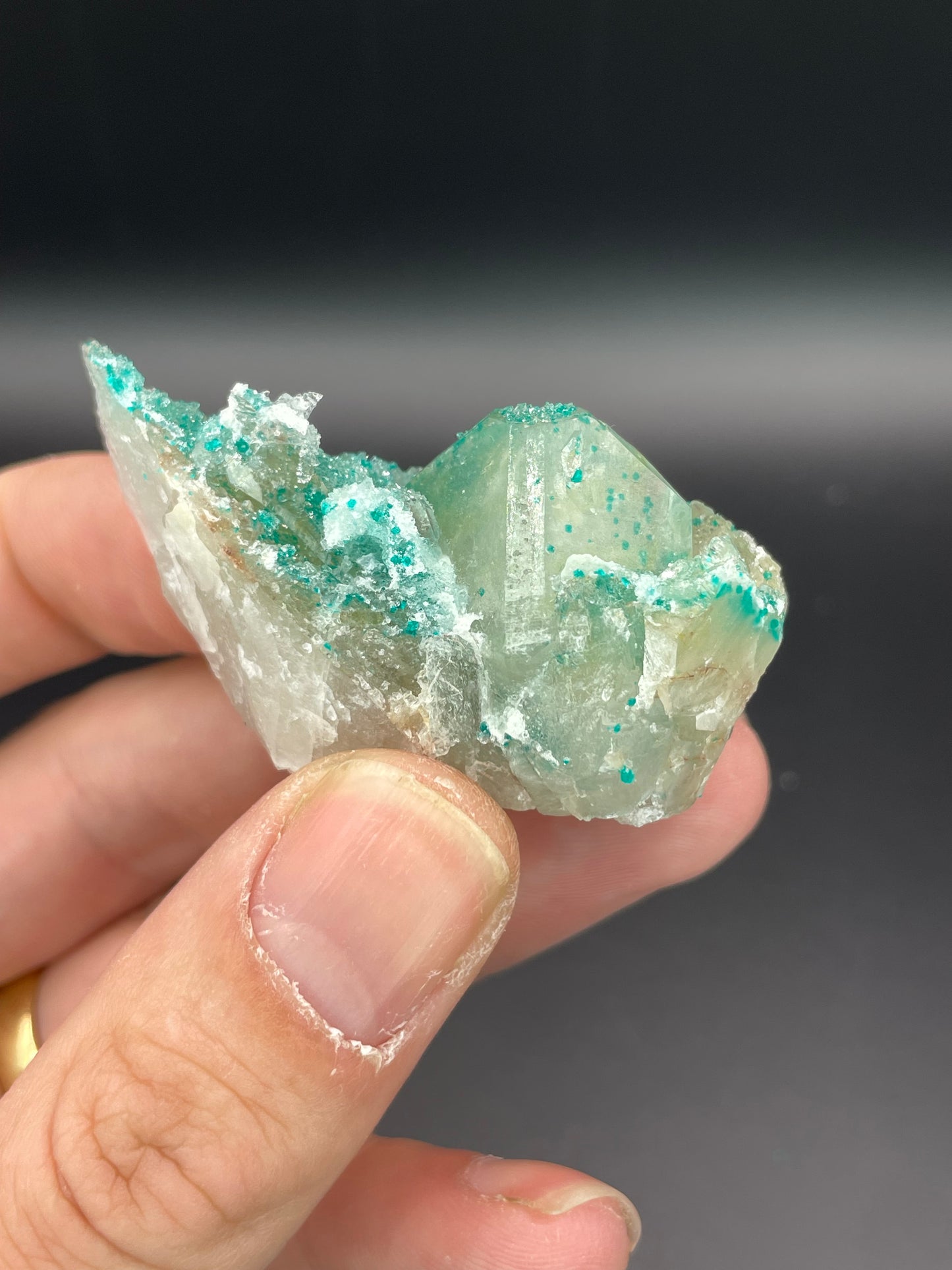 Dioptase and Quartz, Kunene Region, Namibia