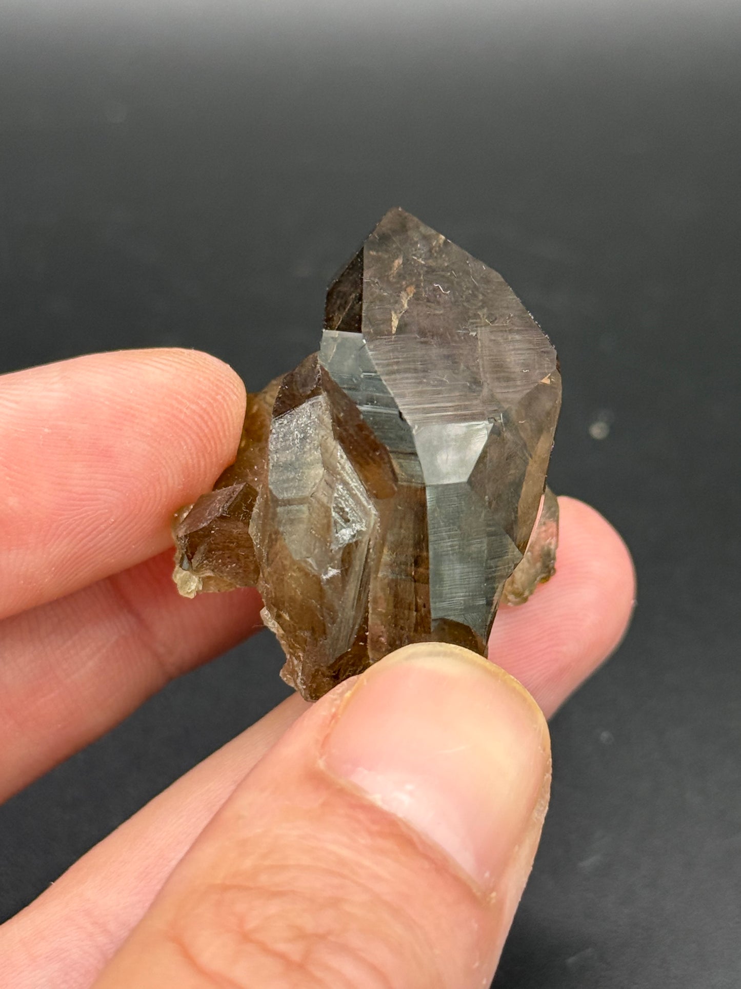 Smoky Quartz, Val Giuv, Tujetsch, Surselva Region, Grisons, Switzerland