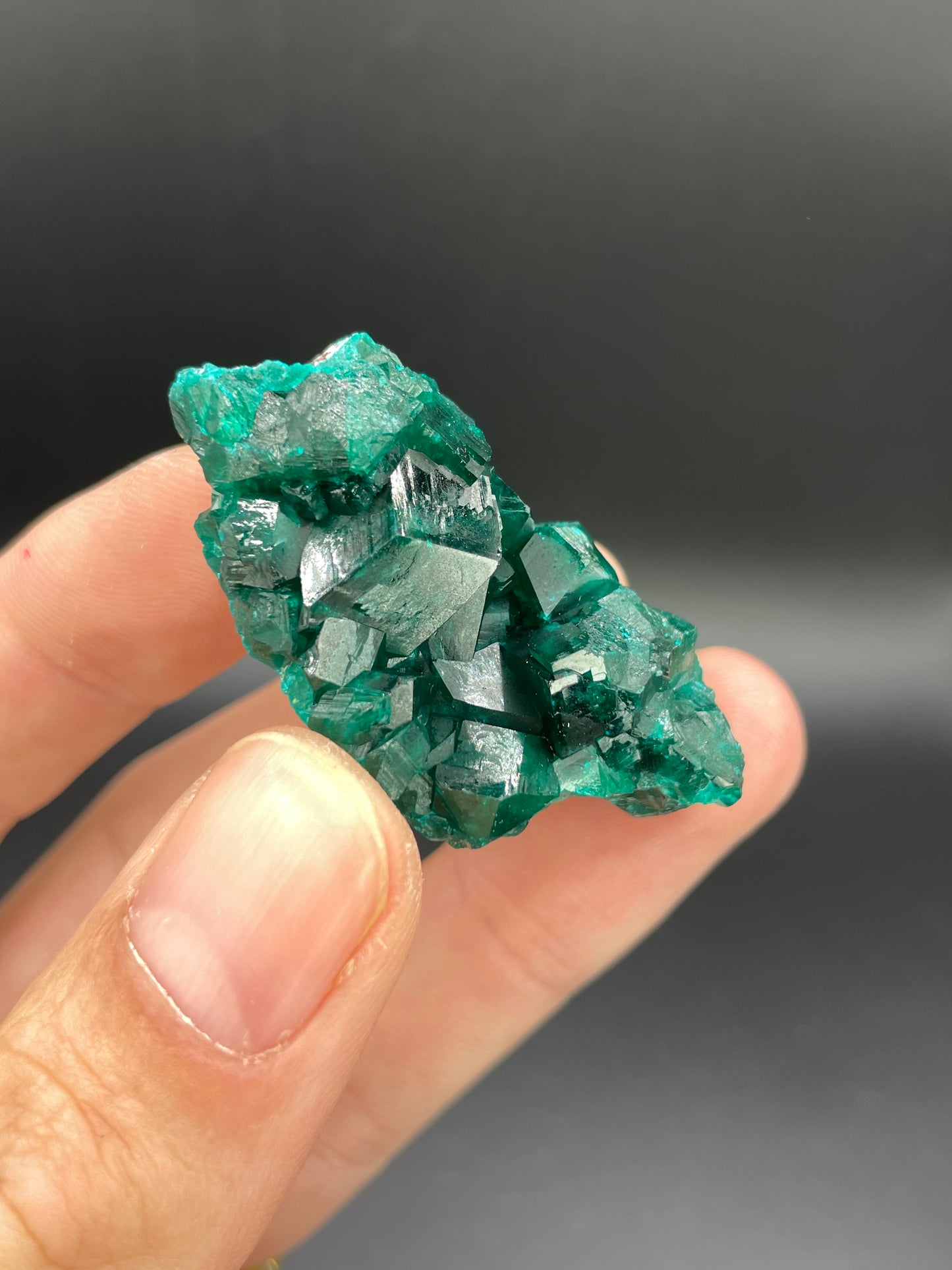Dioptase, Tantara Mine, Haut-Katanga, DR Congo
