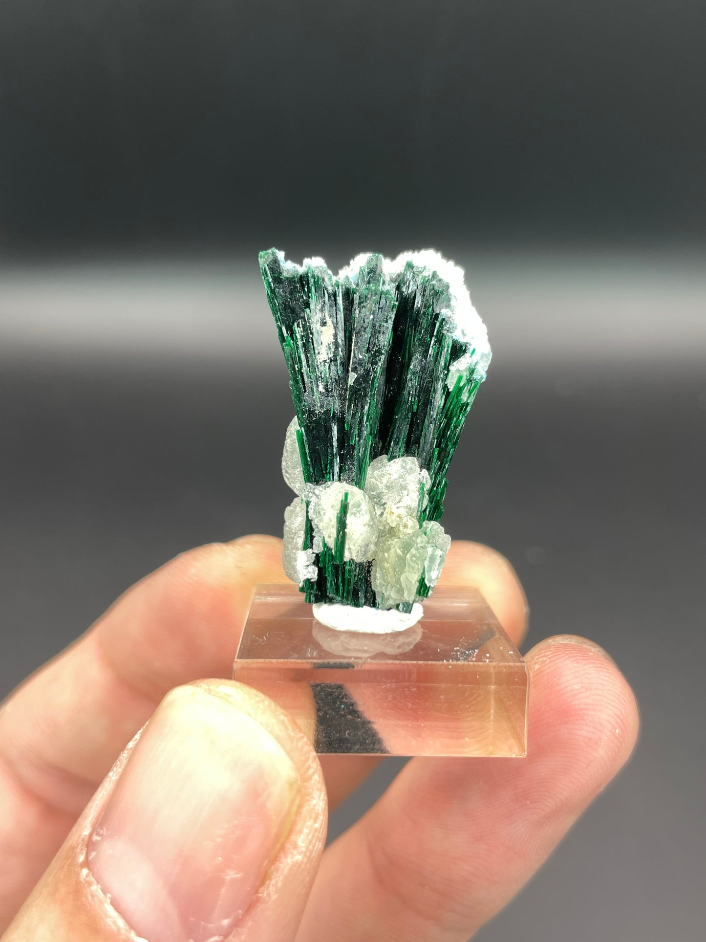 Malachite, Shattuckite, Quartz and Calcite, Kunene Region, Namibia