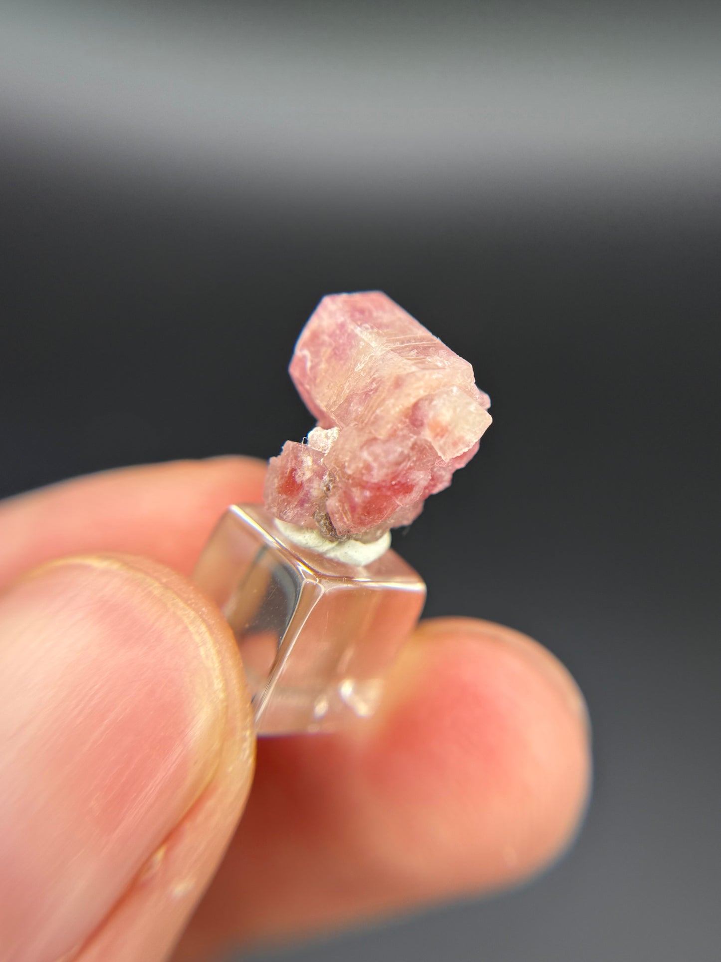 Pezzottaite, Ambavaloza village, Antsirabe, Madagascar
