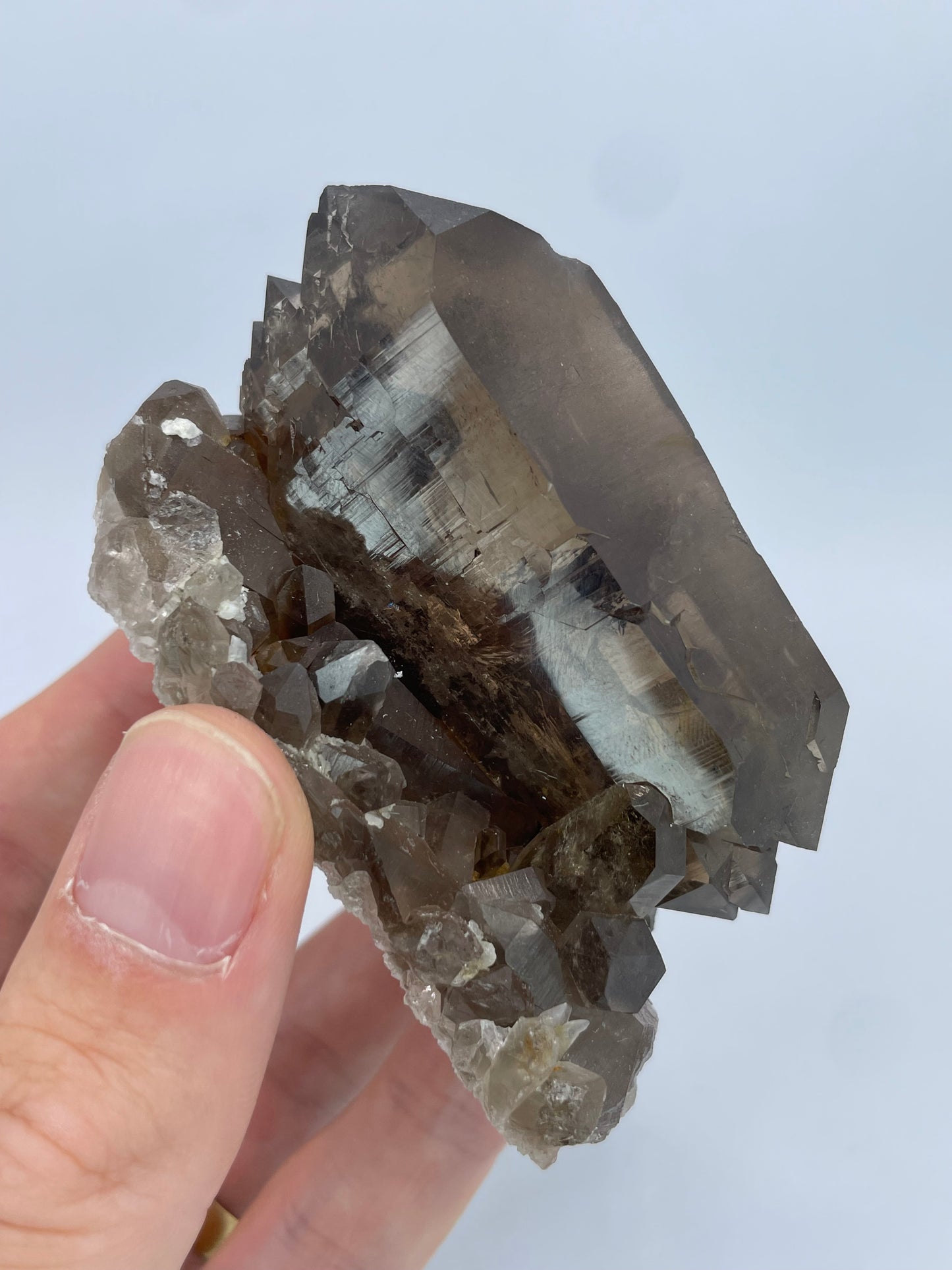 Gwindel Smoky Quartz, Sidelenglacier, Furka, Uri, Switzerland