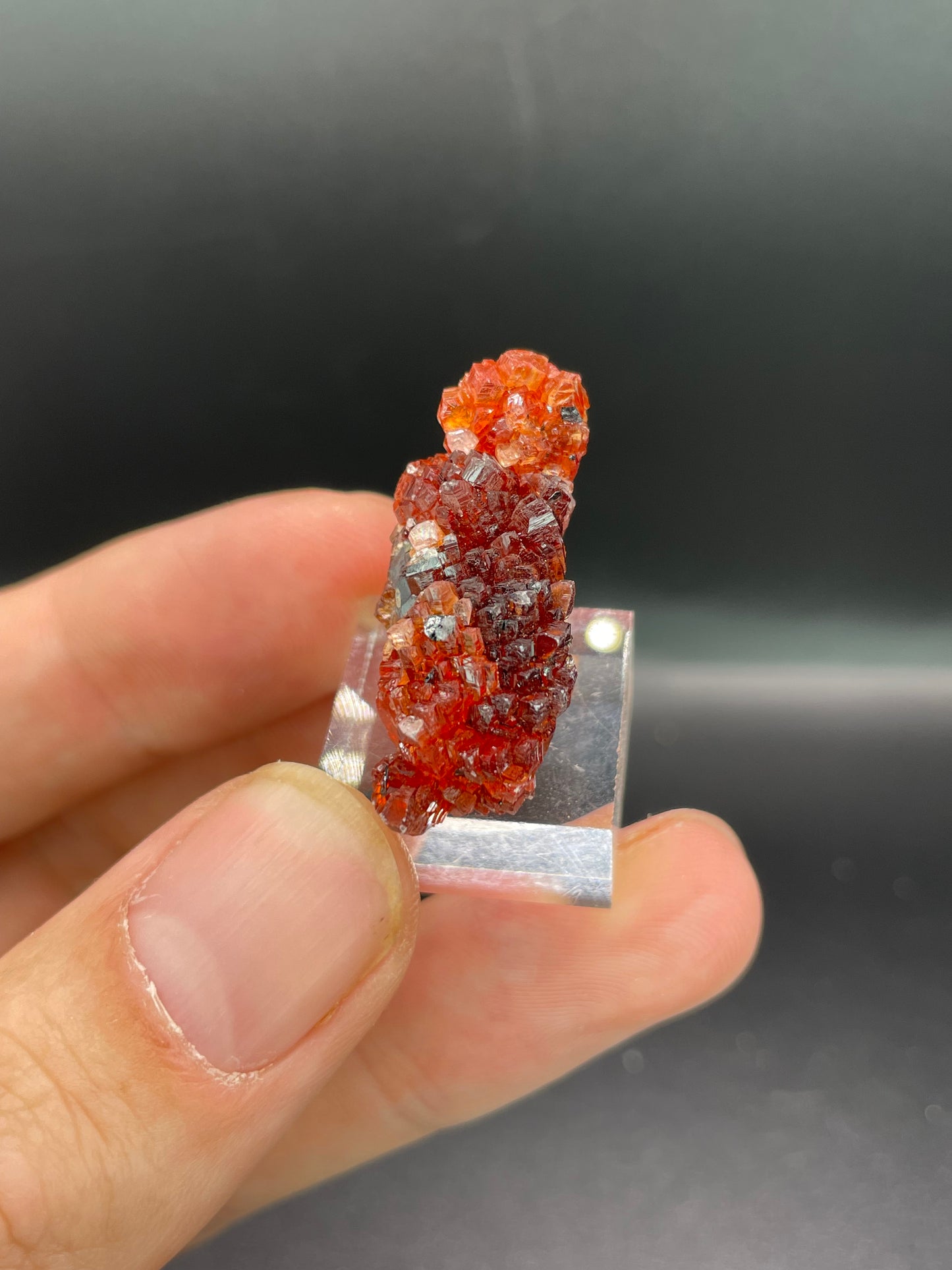 Rhodochrosite, Hotazel, Northern Cape Province, South Africa