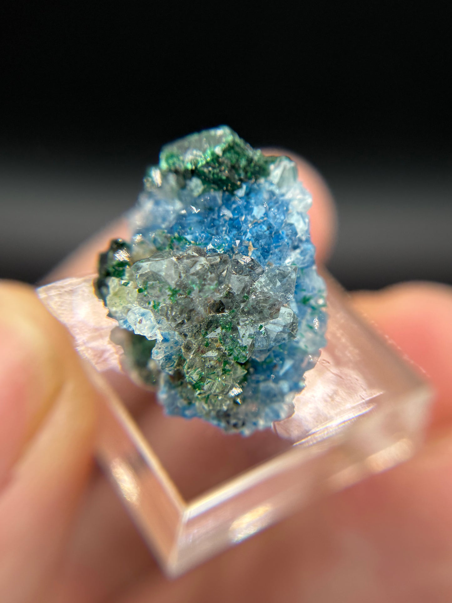 Shattuckite, Malachite and Quartz, Kunene Region, Namibia