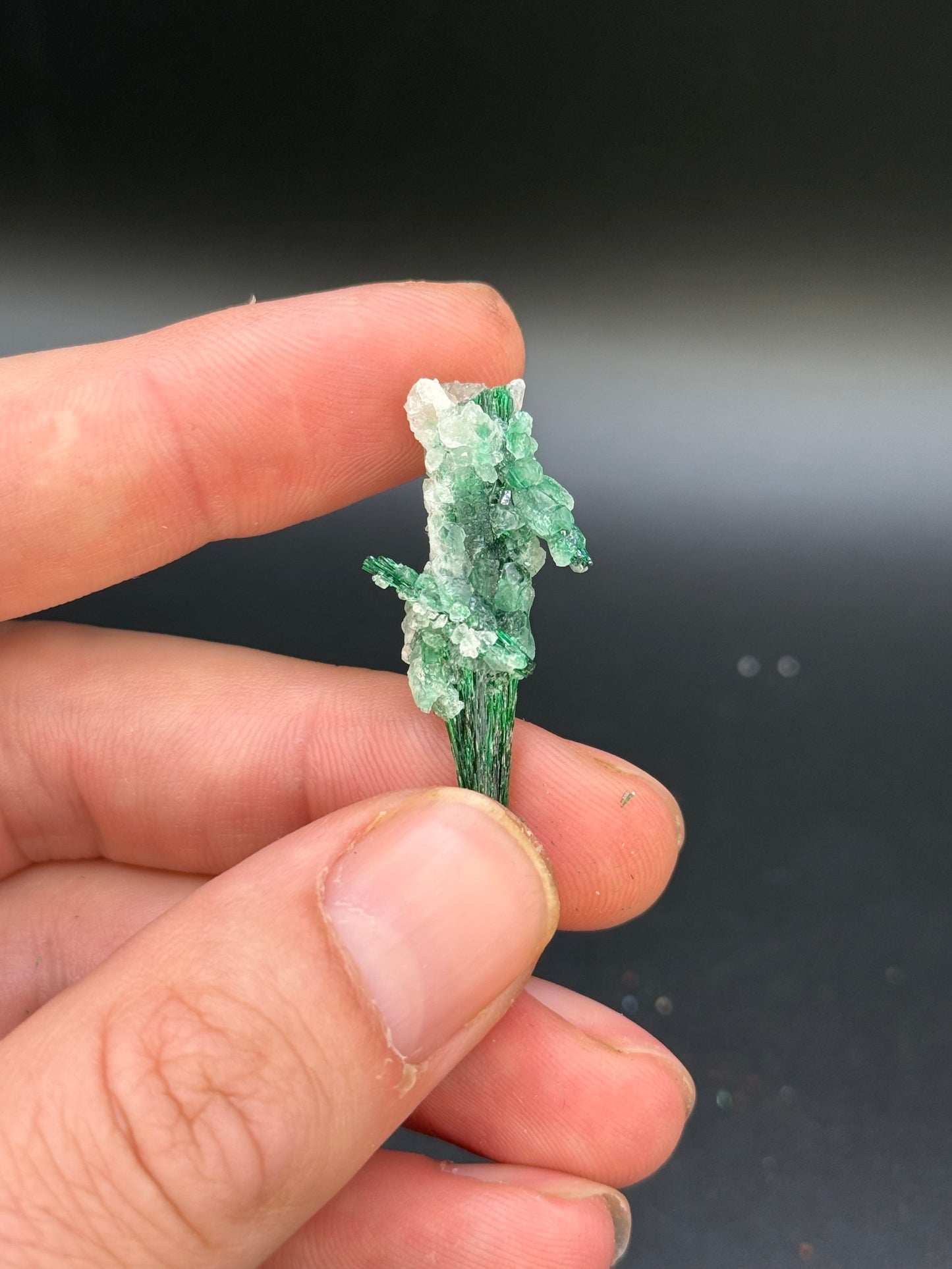 Malachite and calcite, Kunene Region, Namibia