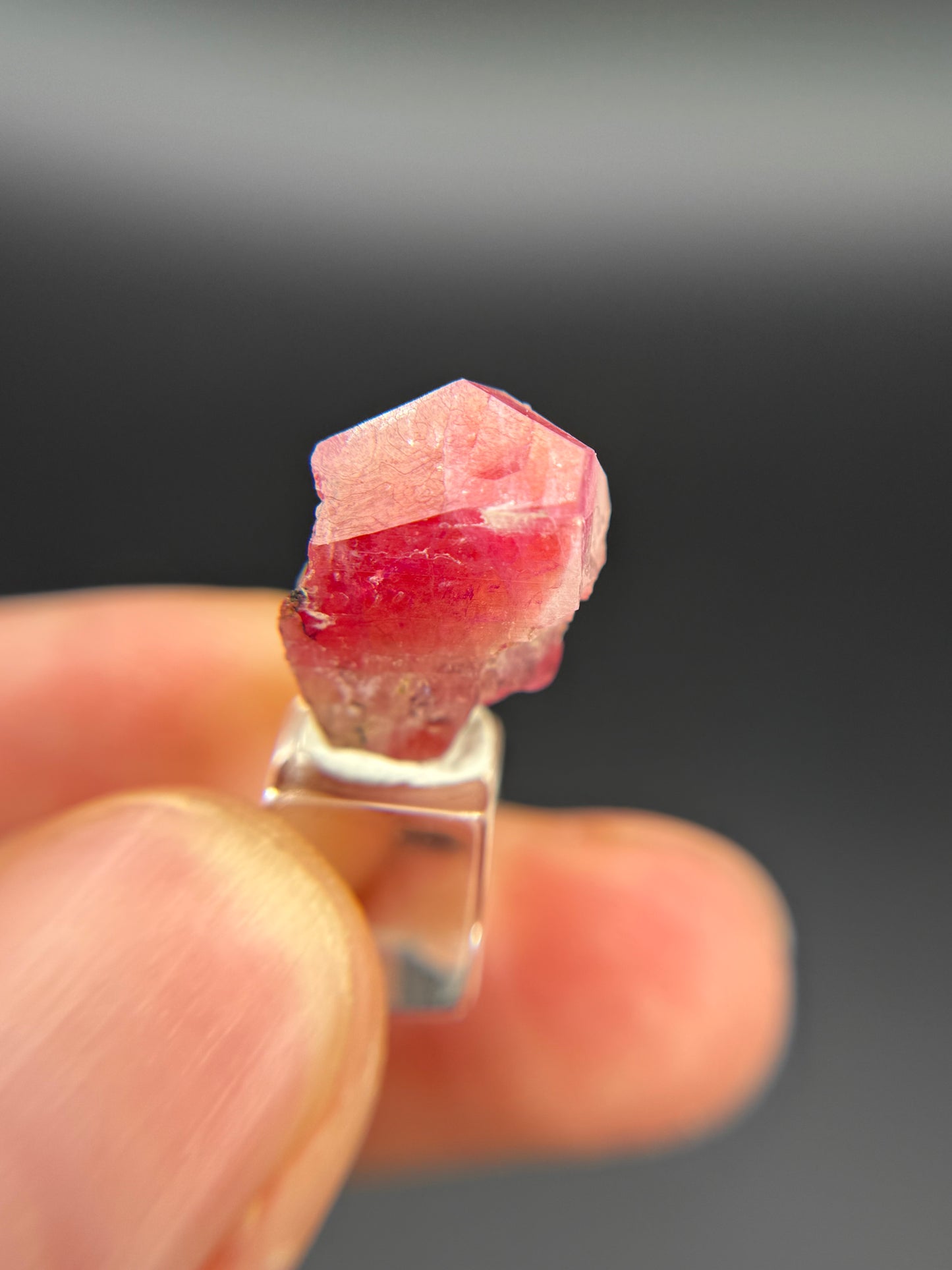 Pezzottaite, Ambavaloza village, Antsirabe, Madagascar