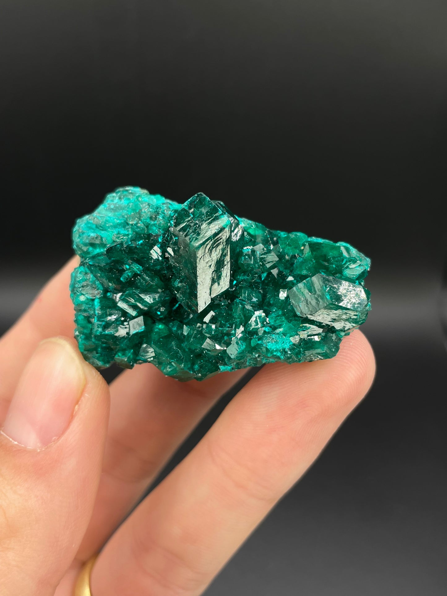 Dioptase, Tantara Mine, Haut-Katanga, DR Congo