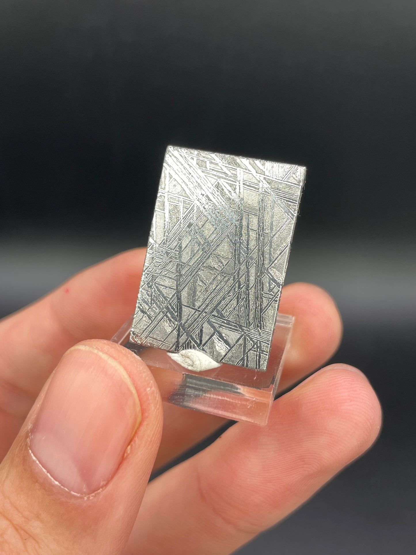 Muonionalusta Meteorite Slice from Norrbotten, Sweden