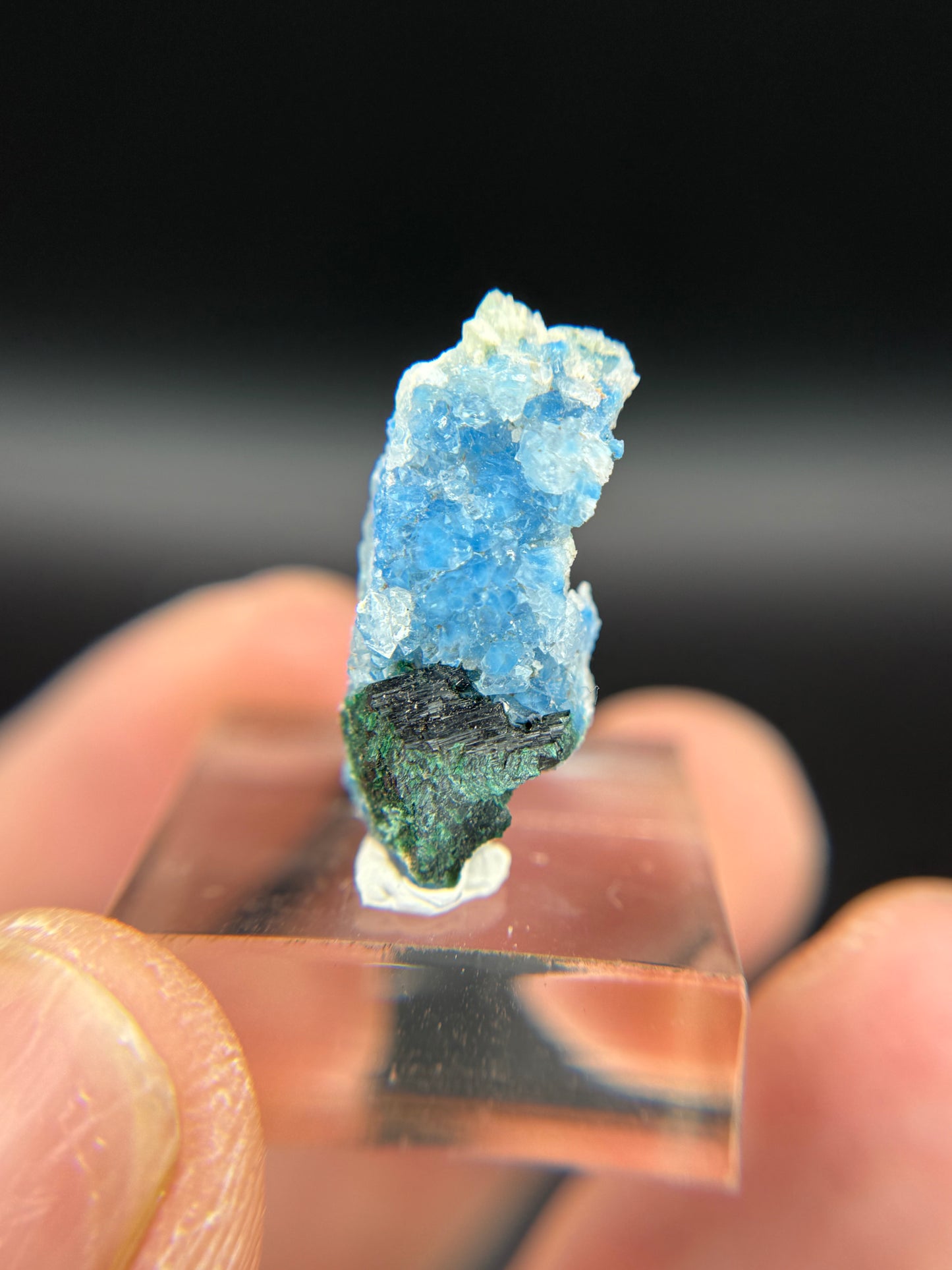 Shattuckite, Malachite and Quartz, Kunene Region, Namibia