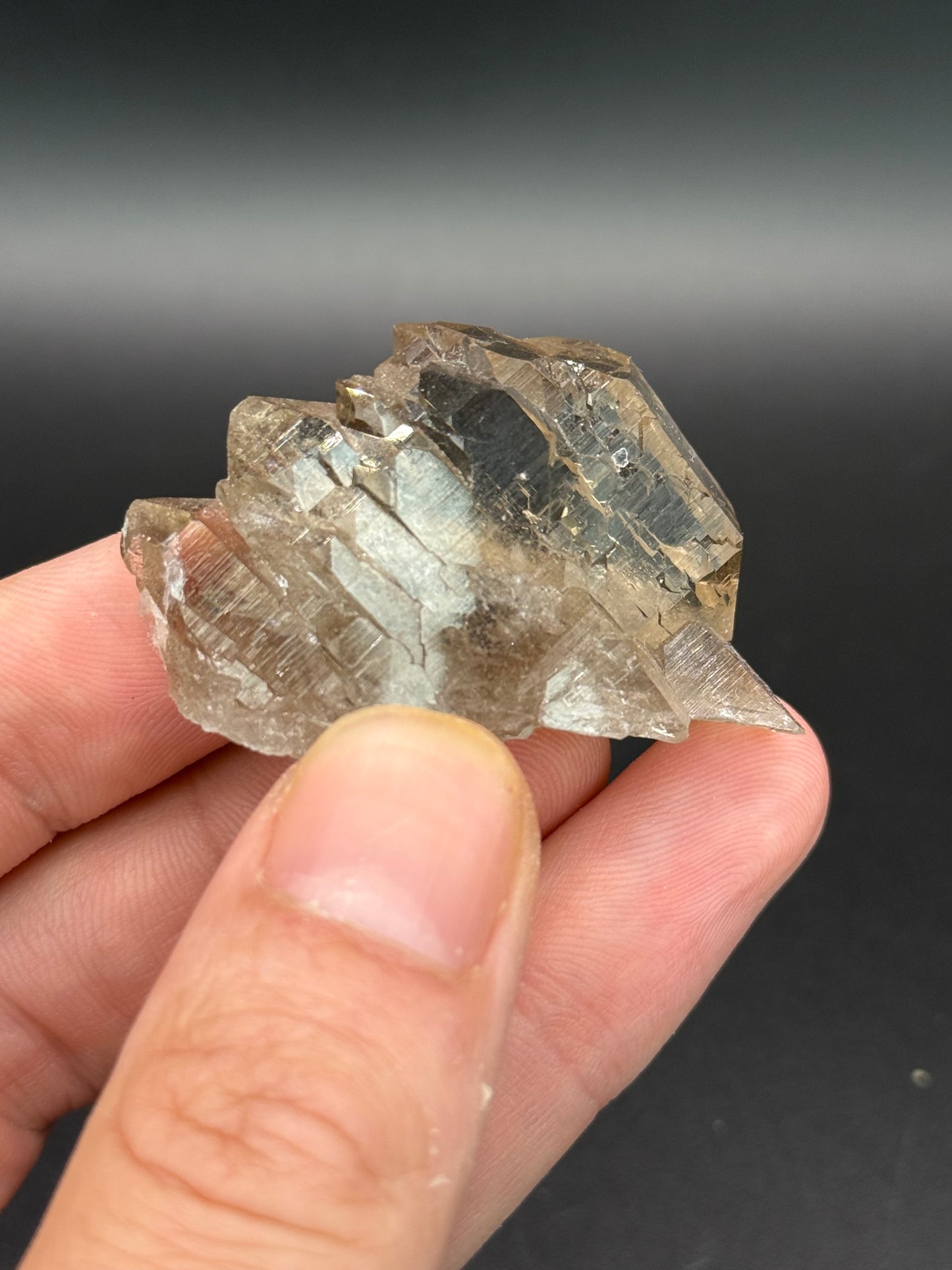 Gwindel Quartz, Val Cavrein, Disentis, Grisons, Switzerland