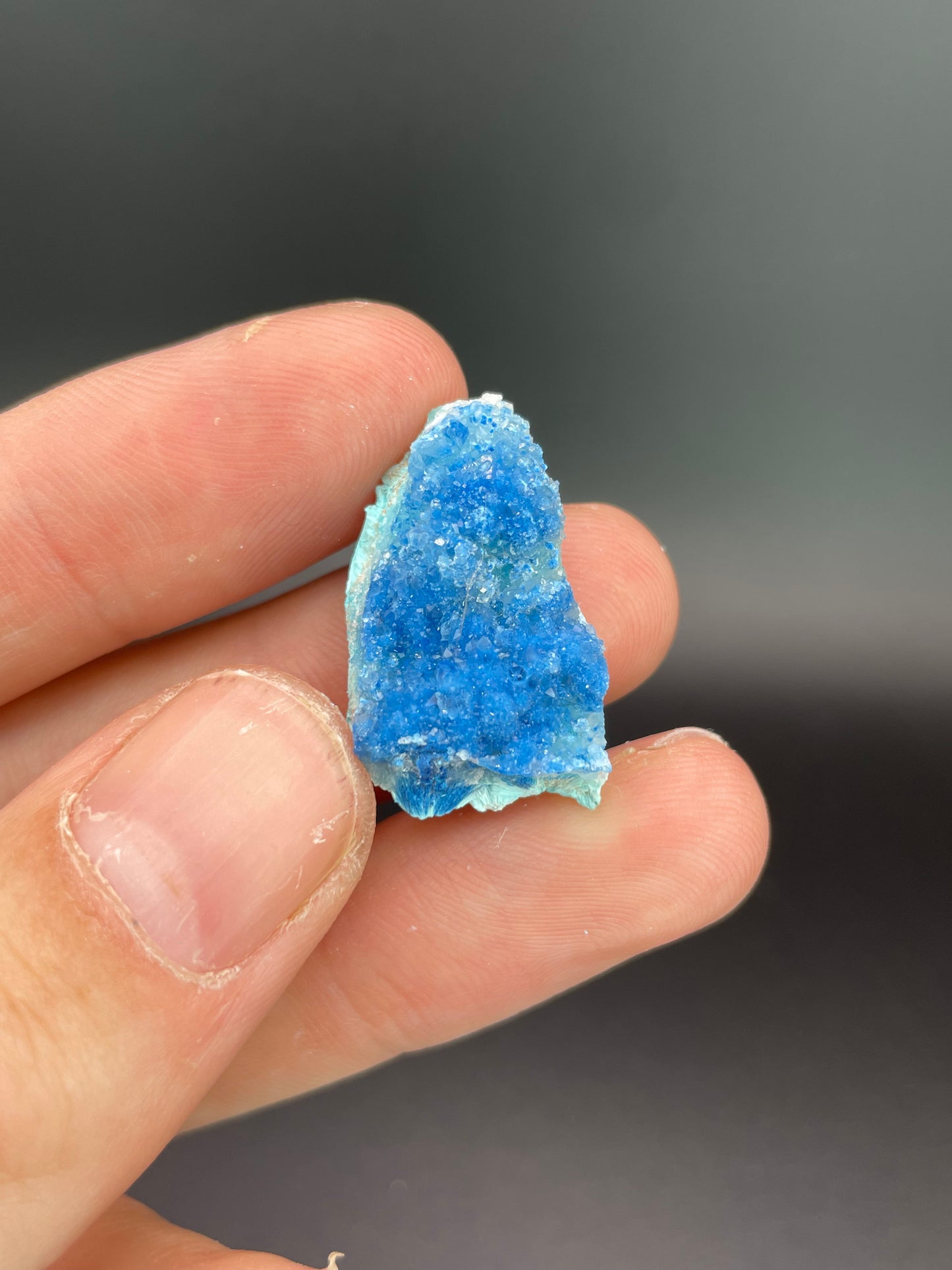 Shattuckite, Chrysocolla, Quartz, 992 Level, Milpillas Mine, Cuitaca, Sonora, Mexico