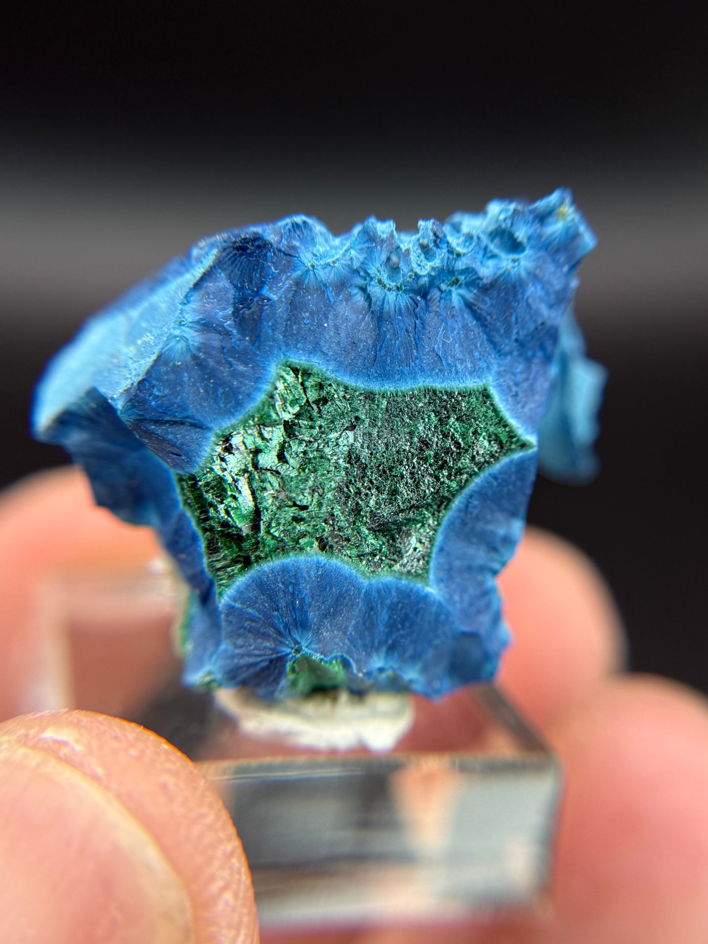 Shattuckite with Malachite, Kunene Region, Namibia