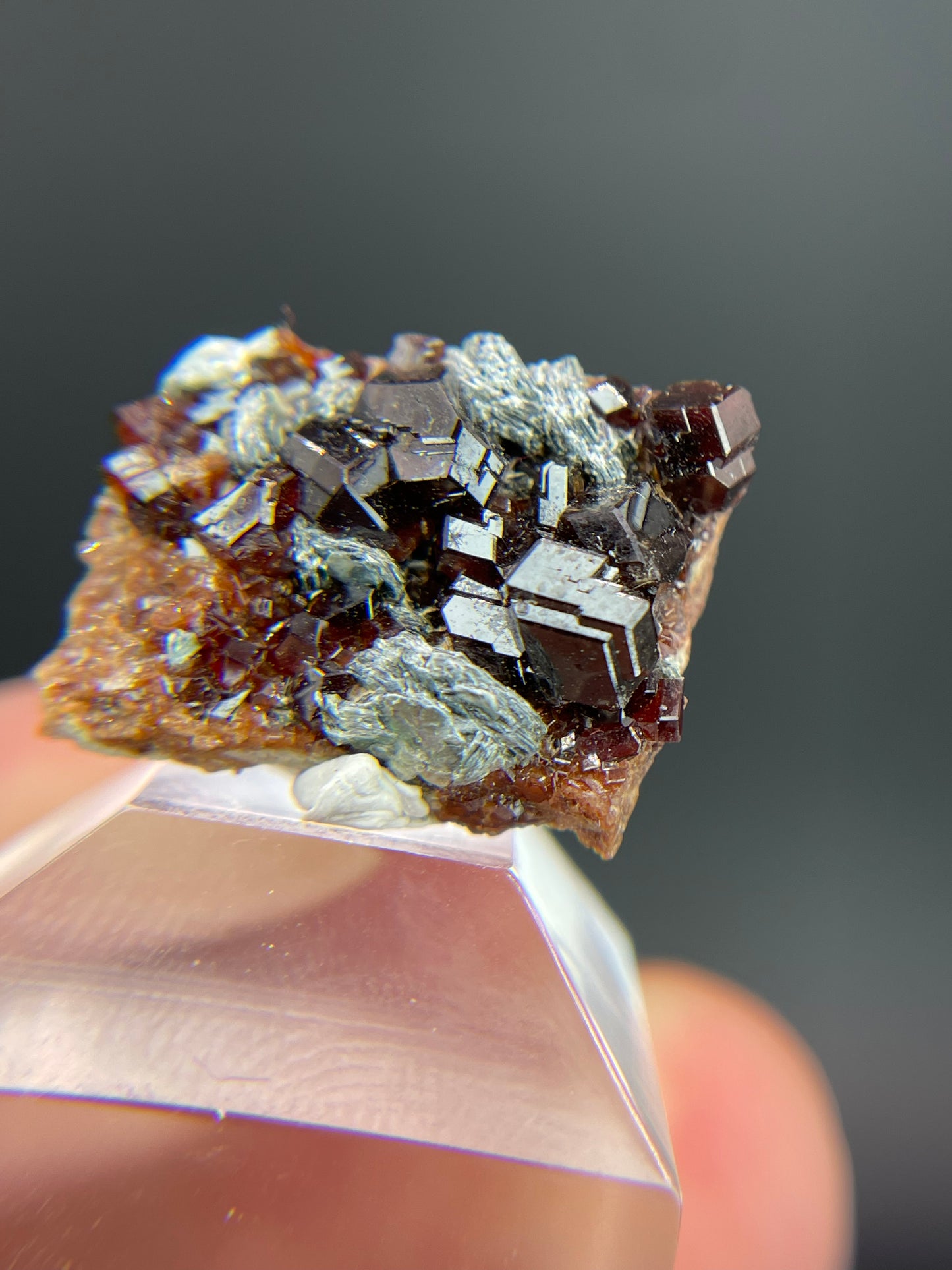 Hessonite garnet, Clinochlore, Valle d’Aosta, Italy