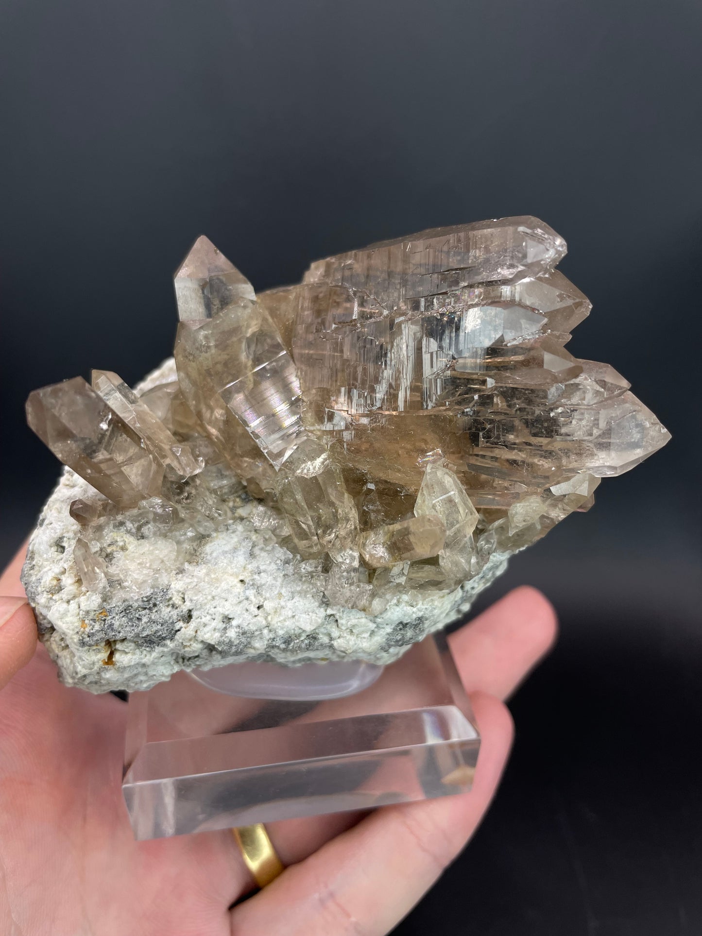 Gwindel Quartz, Marmotta Cleft, Grimsel, Bernese Alps, Switzerland