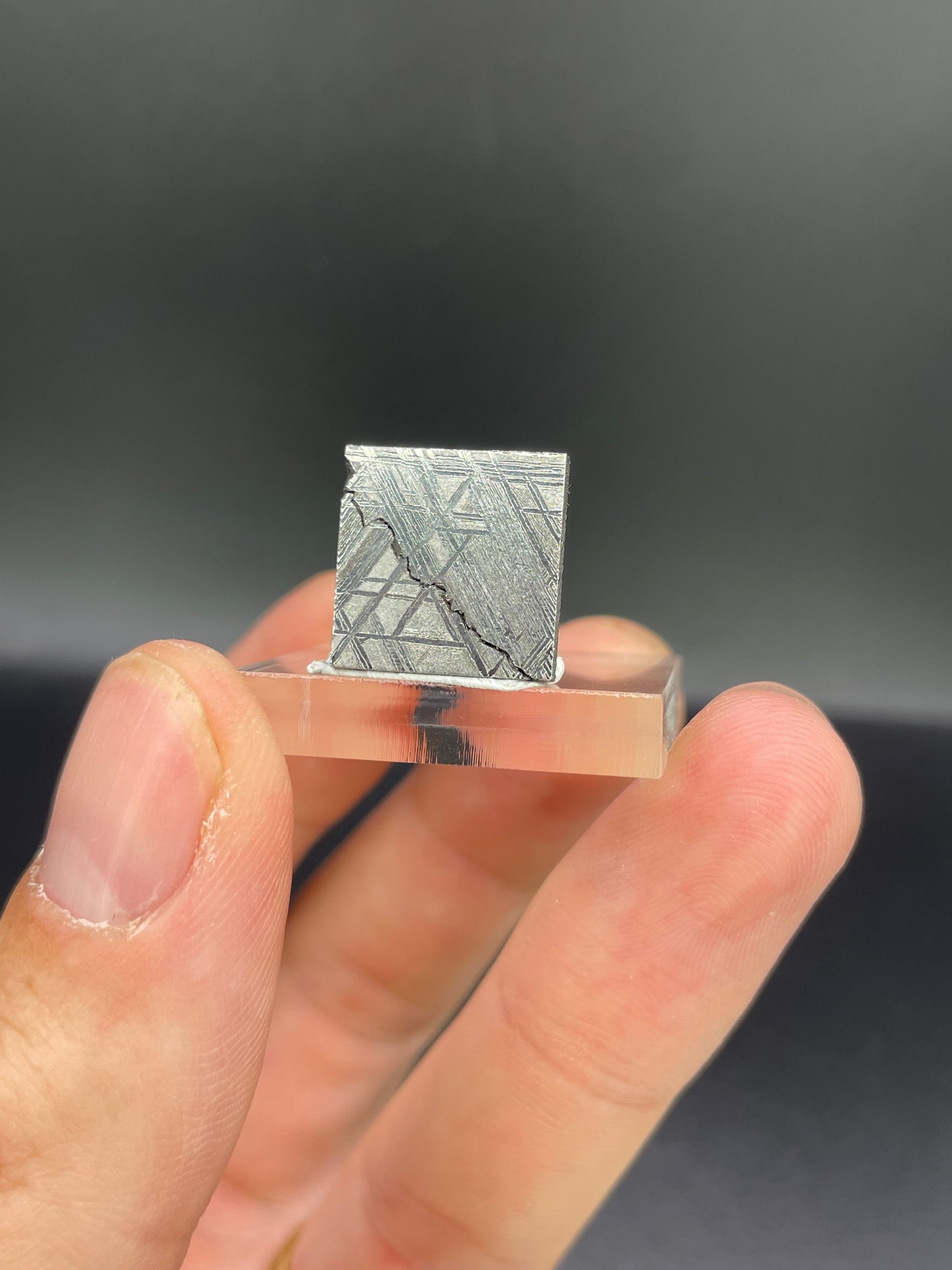 Muonionalusta Meteorite Slice from Norrbotten, Sweden