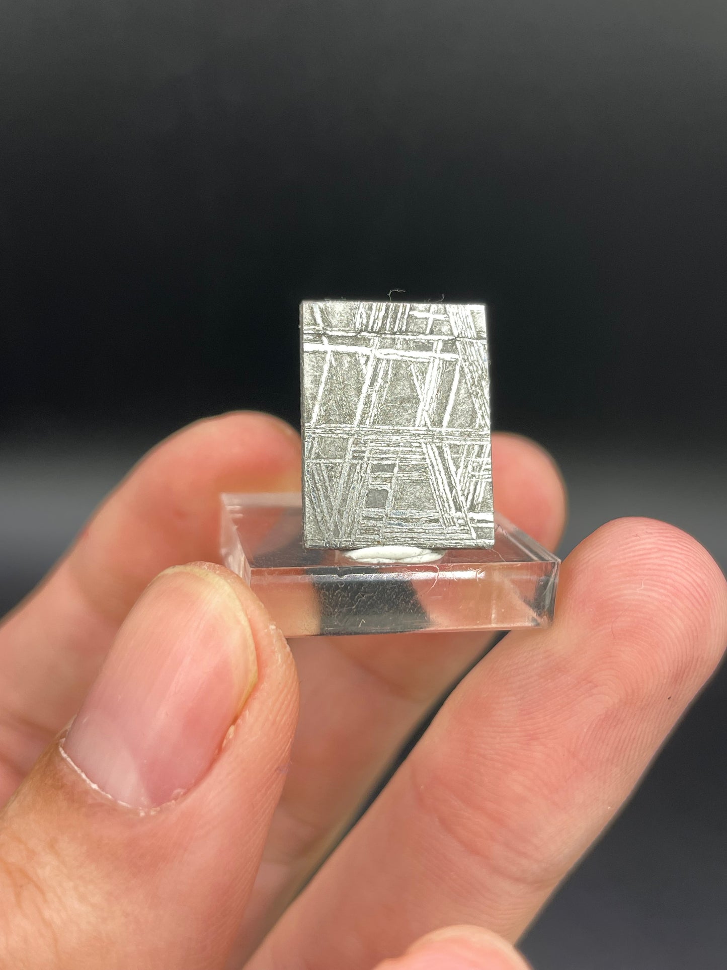 Muonionalusta Meteorite Slice from Norrbotten, Sweden