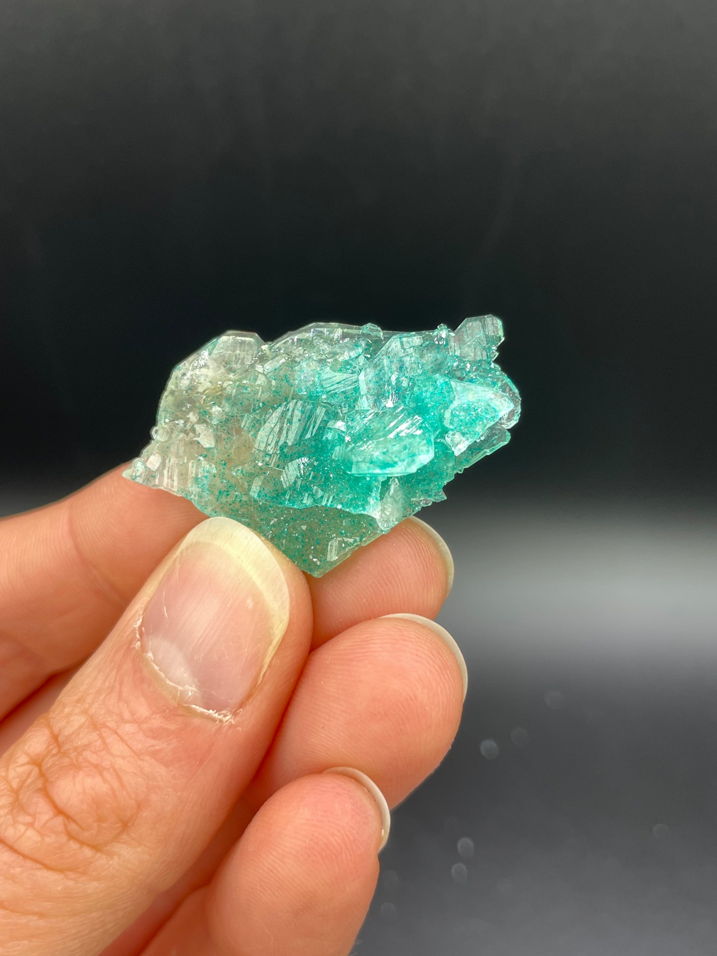 Dioptase and Quartz, Kunene Region, Namibia