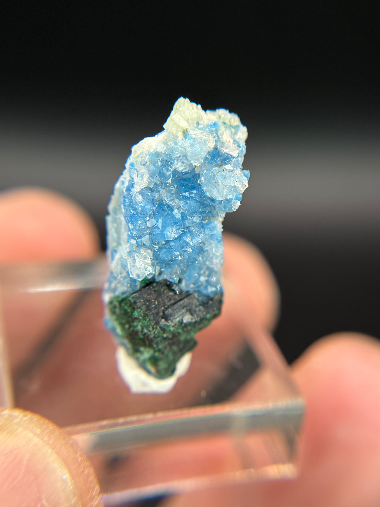 Shattuckite, Malachite and Quartz, Kunene Region, Namibia